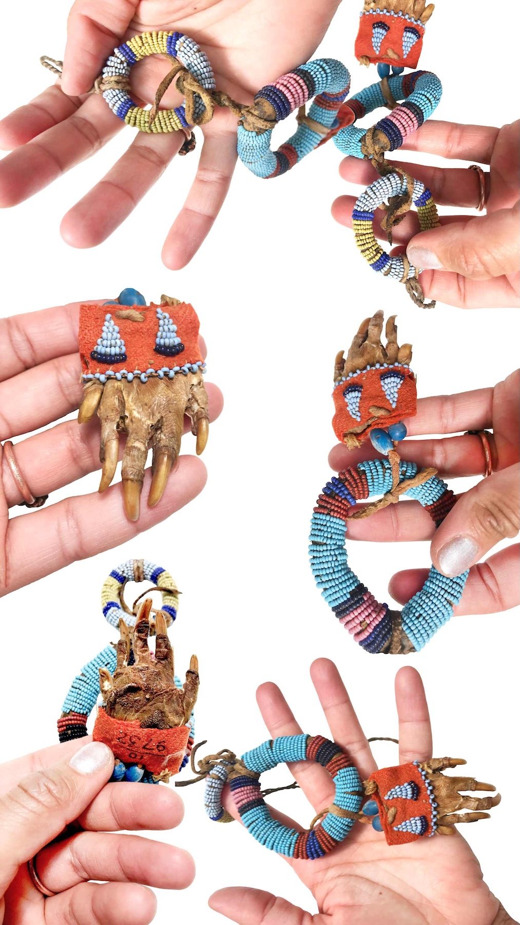 2020_WRS_Apsaalooke Medicine.jpeg