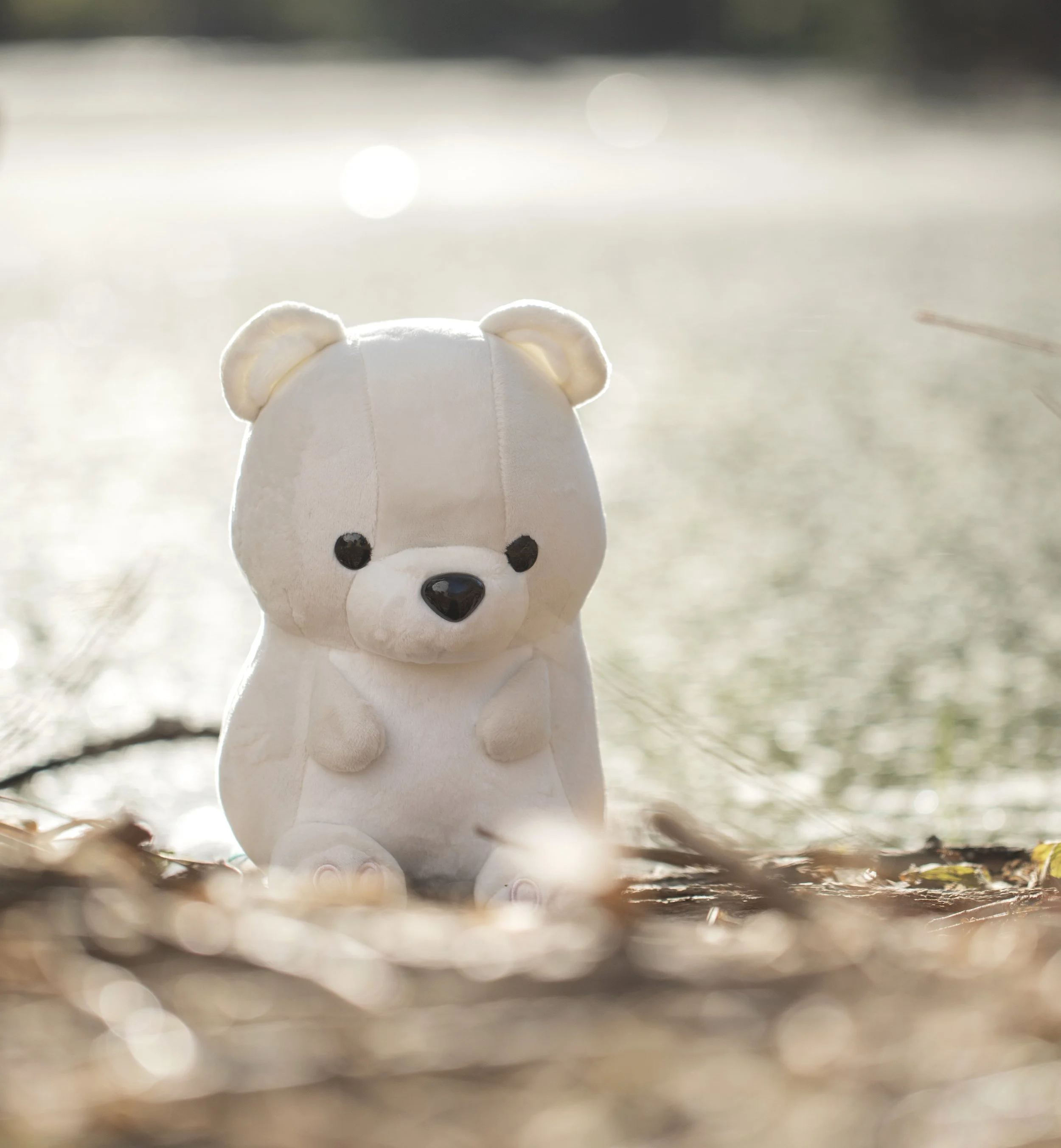 Poli the Polar Bear.jpg