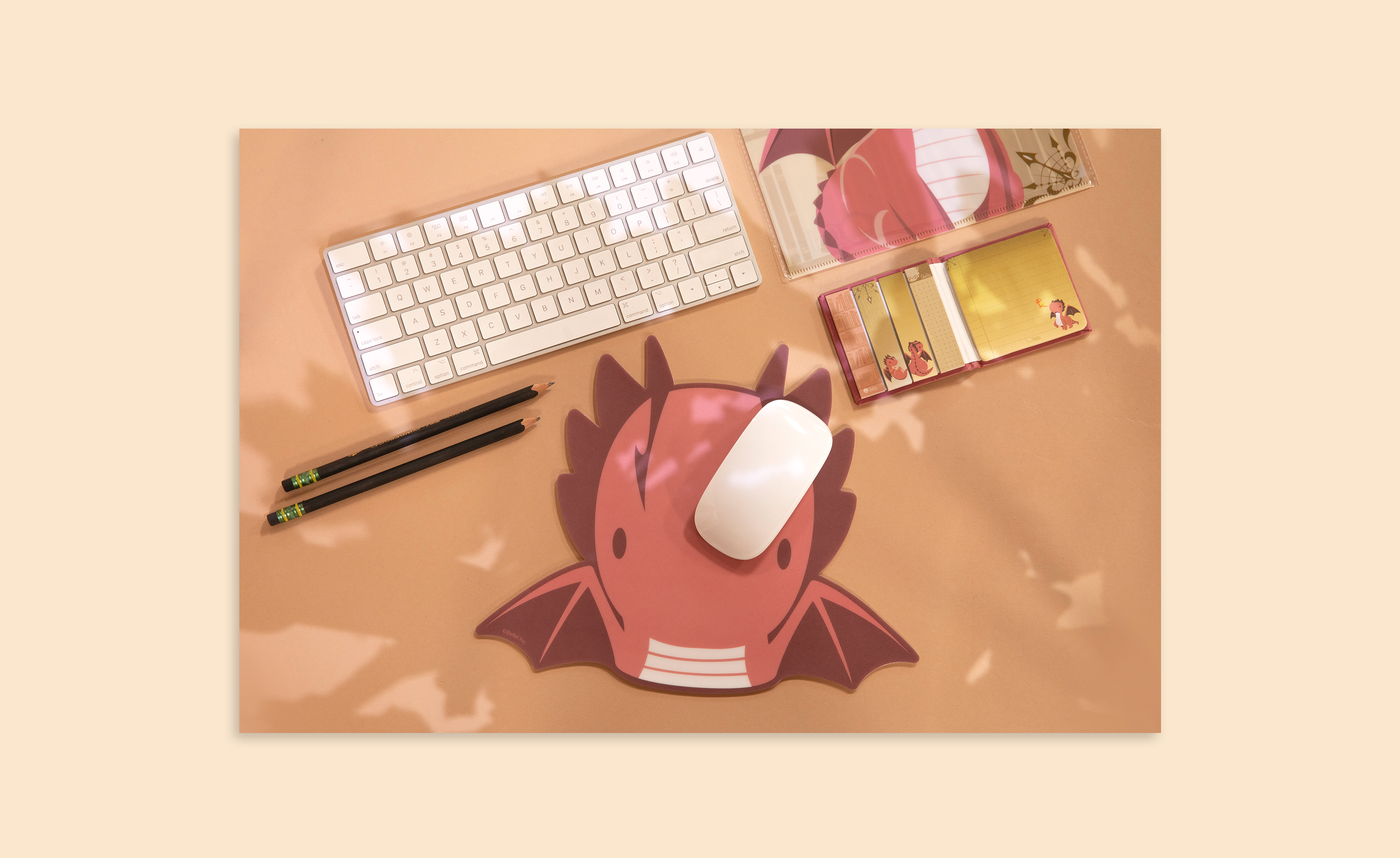 Website photo.png