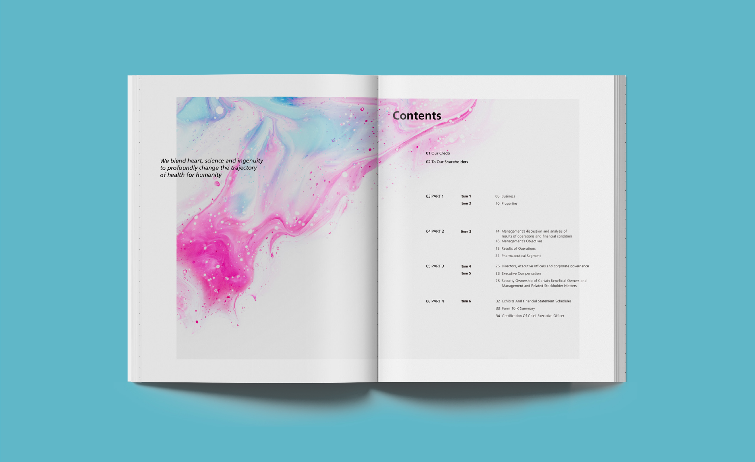 1.Annual report.png