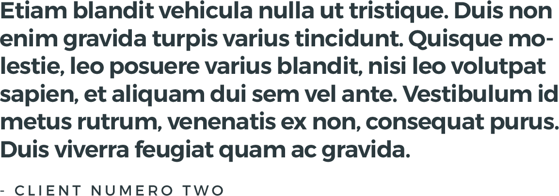 Testimonial02.png