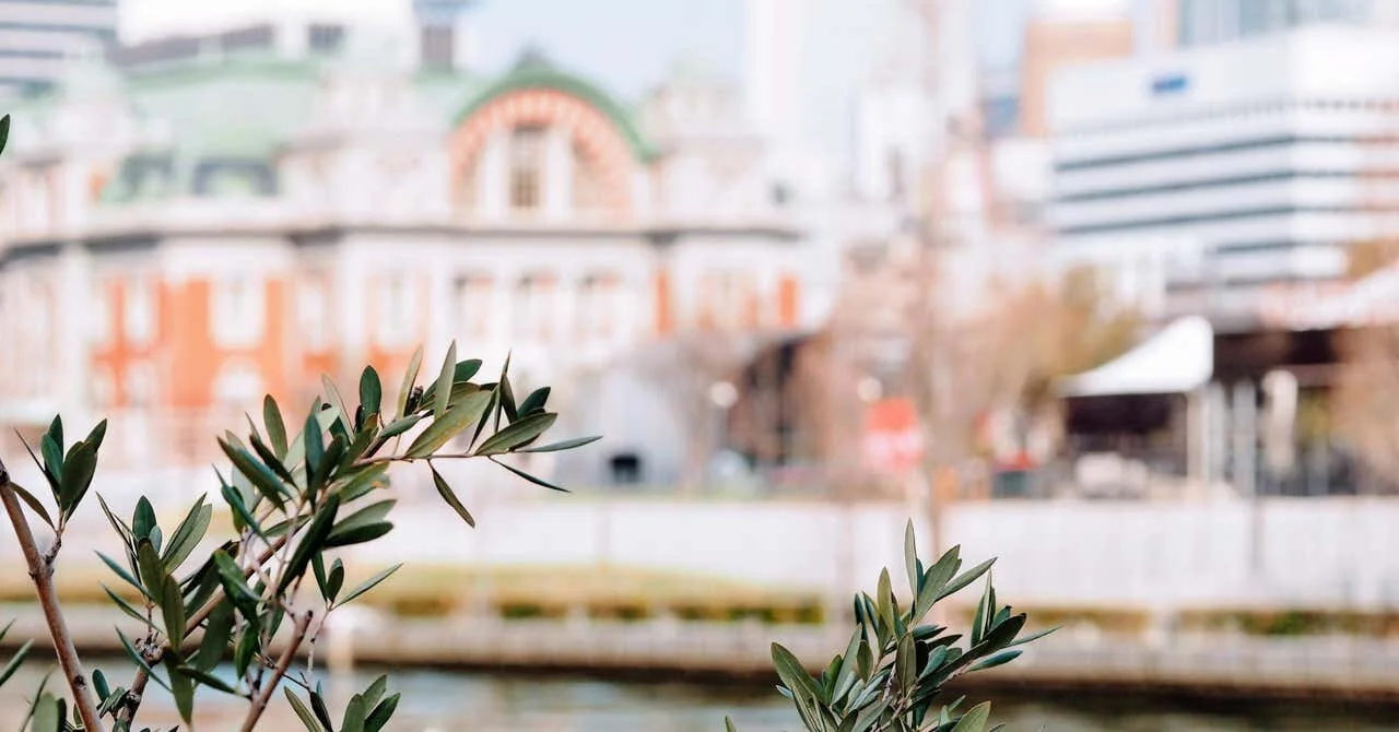 【キナリ★マガジン更新】元・大阪府知事だと思われている私のstay at home