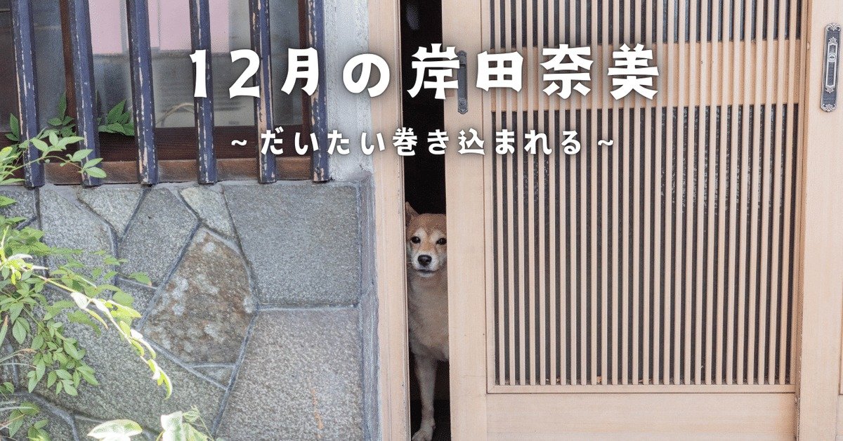 【12月の岸田奈美】だいたい巻き込まれる