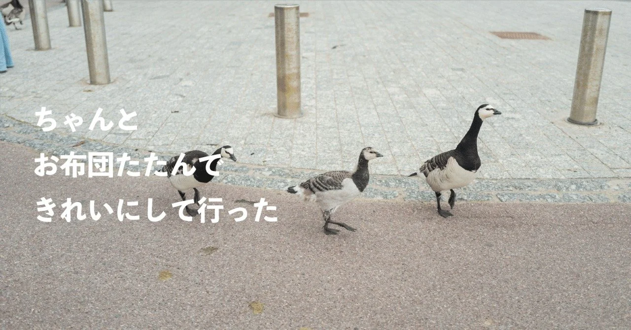 【キナリ★マガジン更新】お腹にいたのは何だったのか