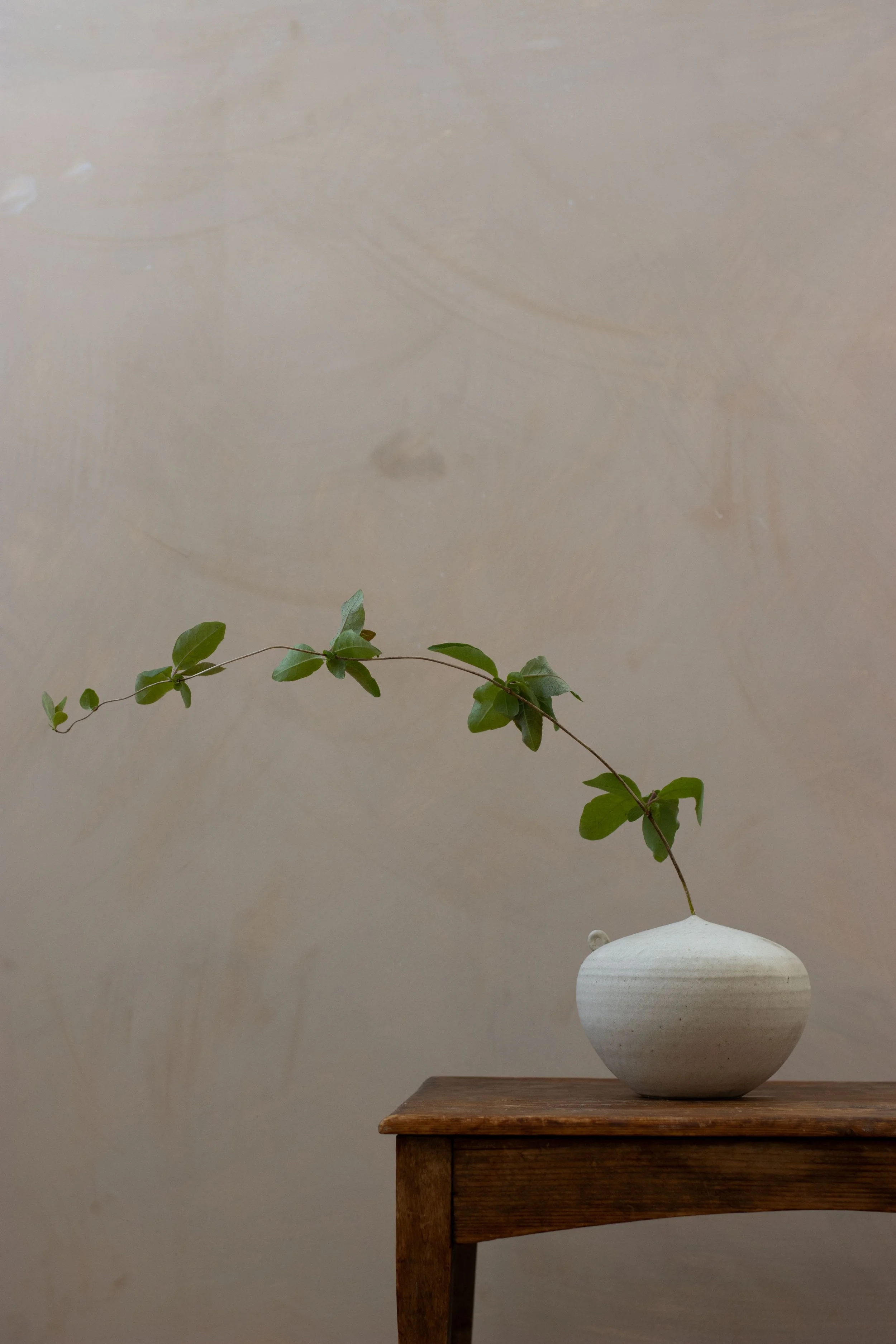 Soliflore 06 in stone