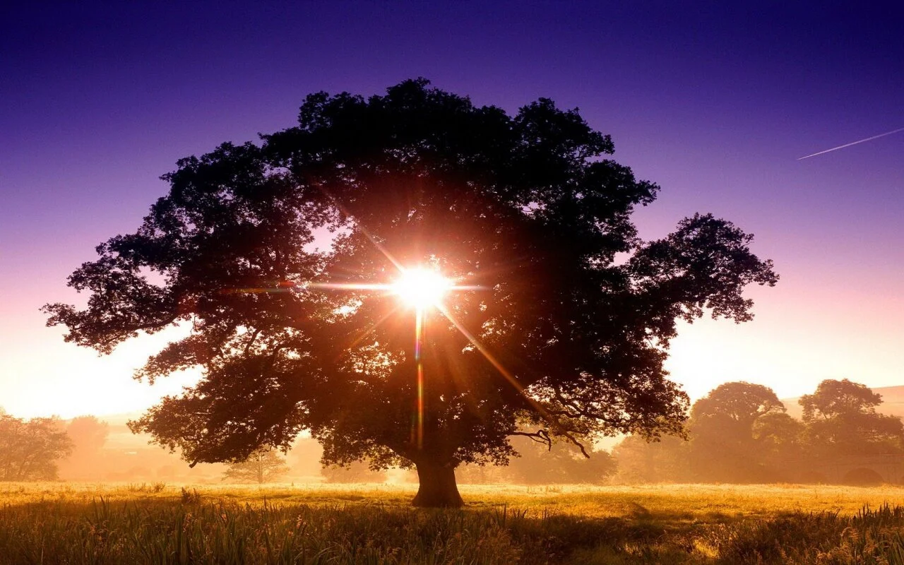 Standing and Living in Truth