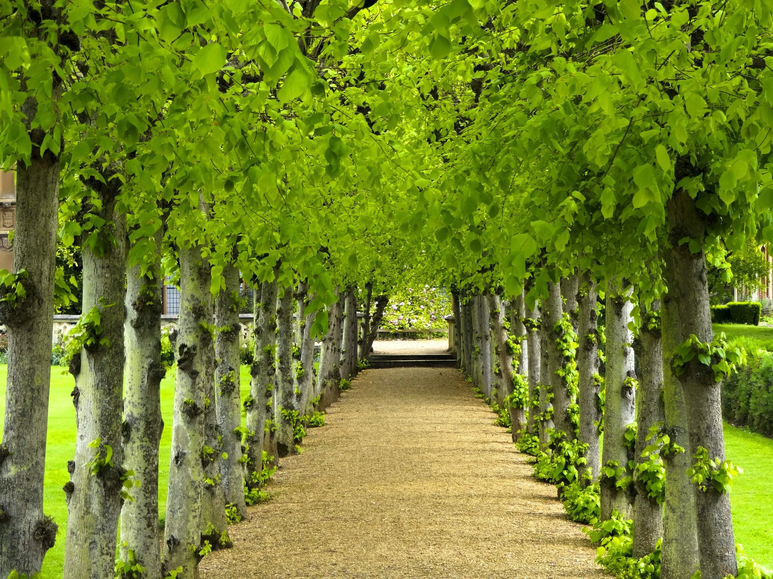 Reflection on Grief &amp; Loss