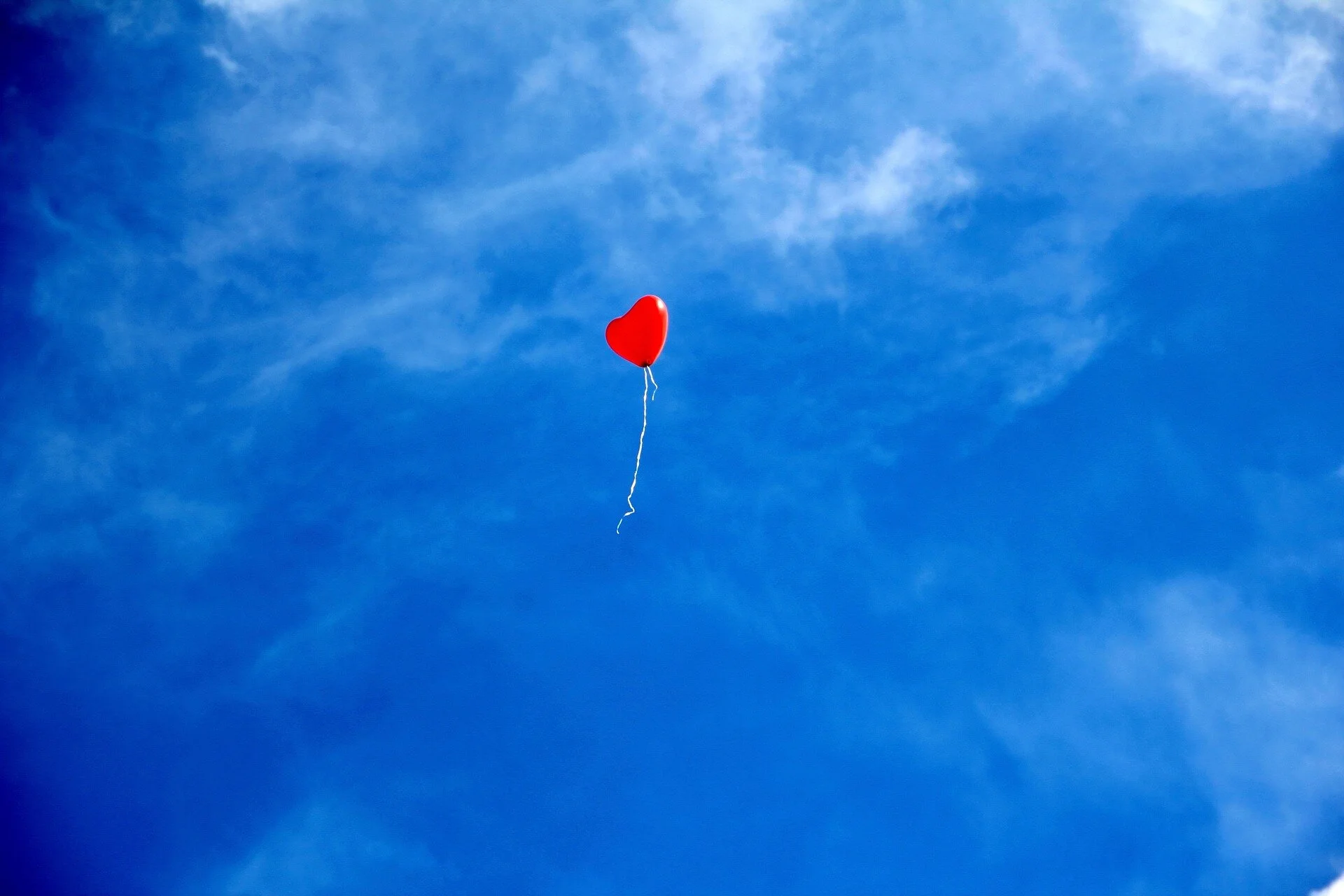 The Art of Losing (Part 2)