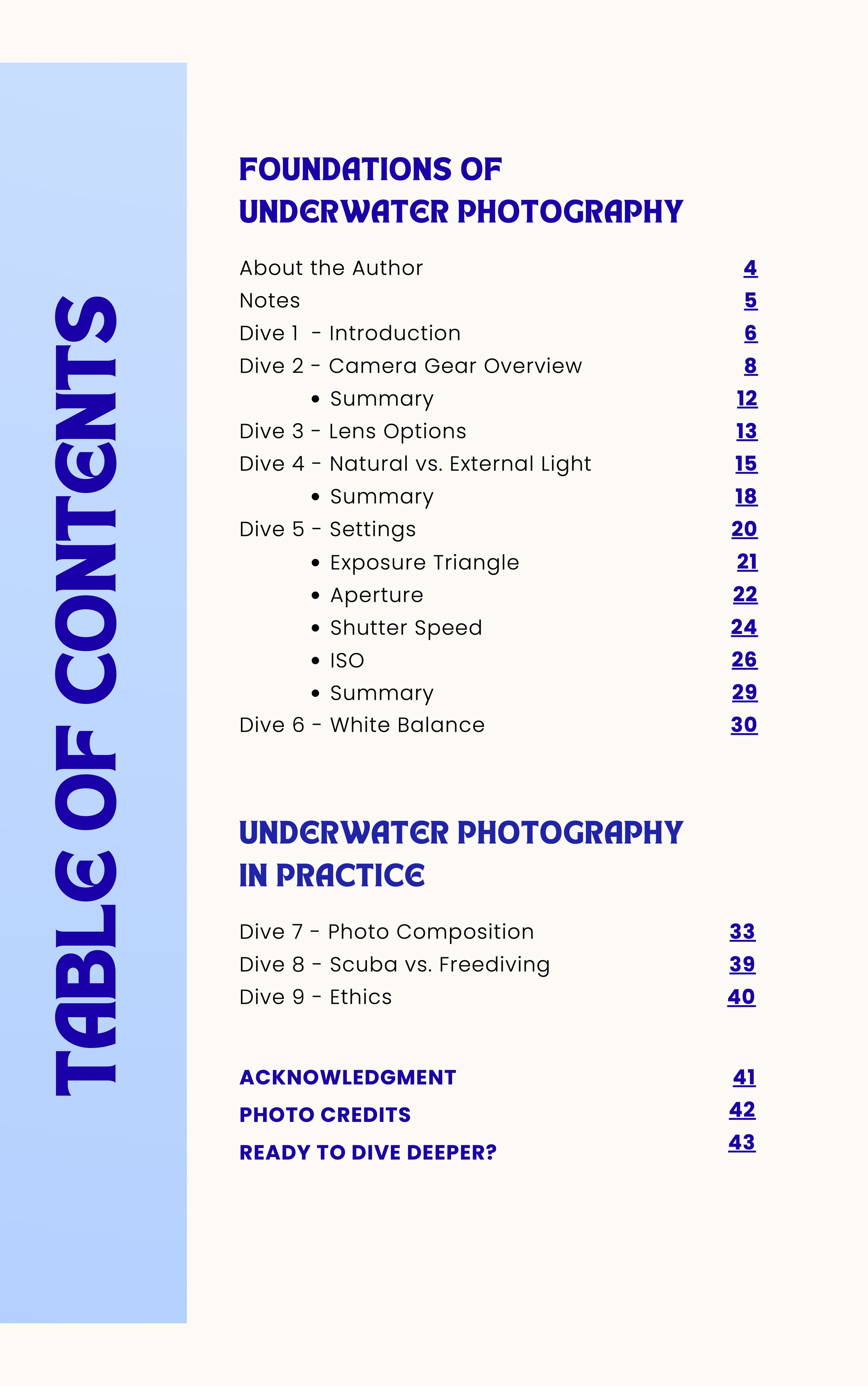 Finished EN Dive Into Underwater Photography The Essential Beginner’s Guide by Gillian Shark-4 (verschoben) 2.jpg (Copy)