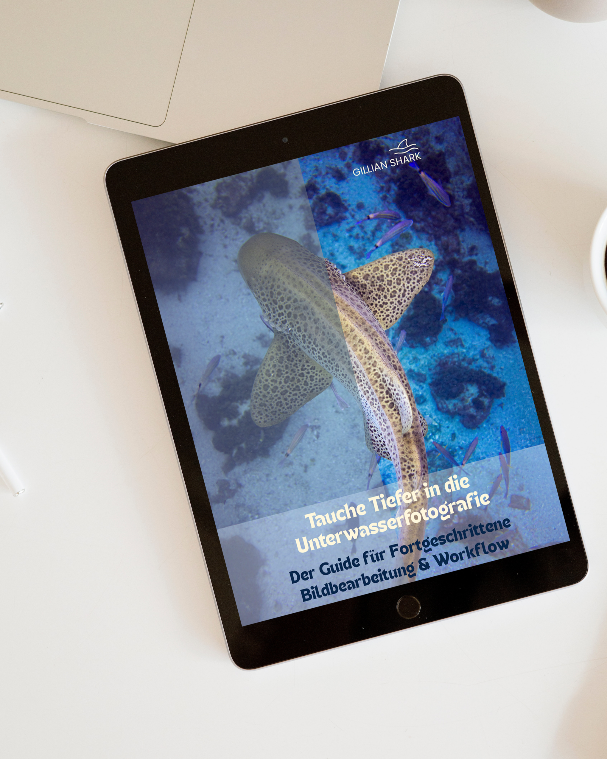 Tauche Tiefer in die Unterwasserfotografie - Der Guide für Fortgeschrittene Bildbearbeitung & Workflow