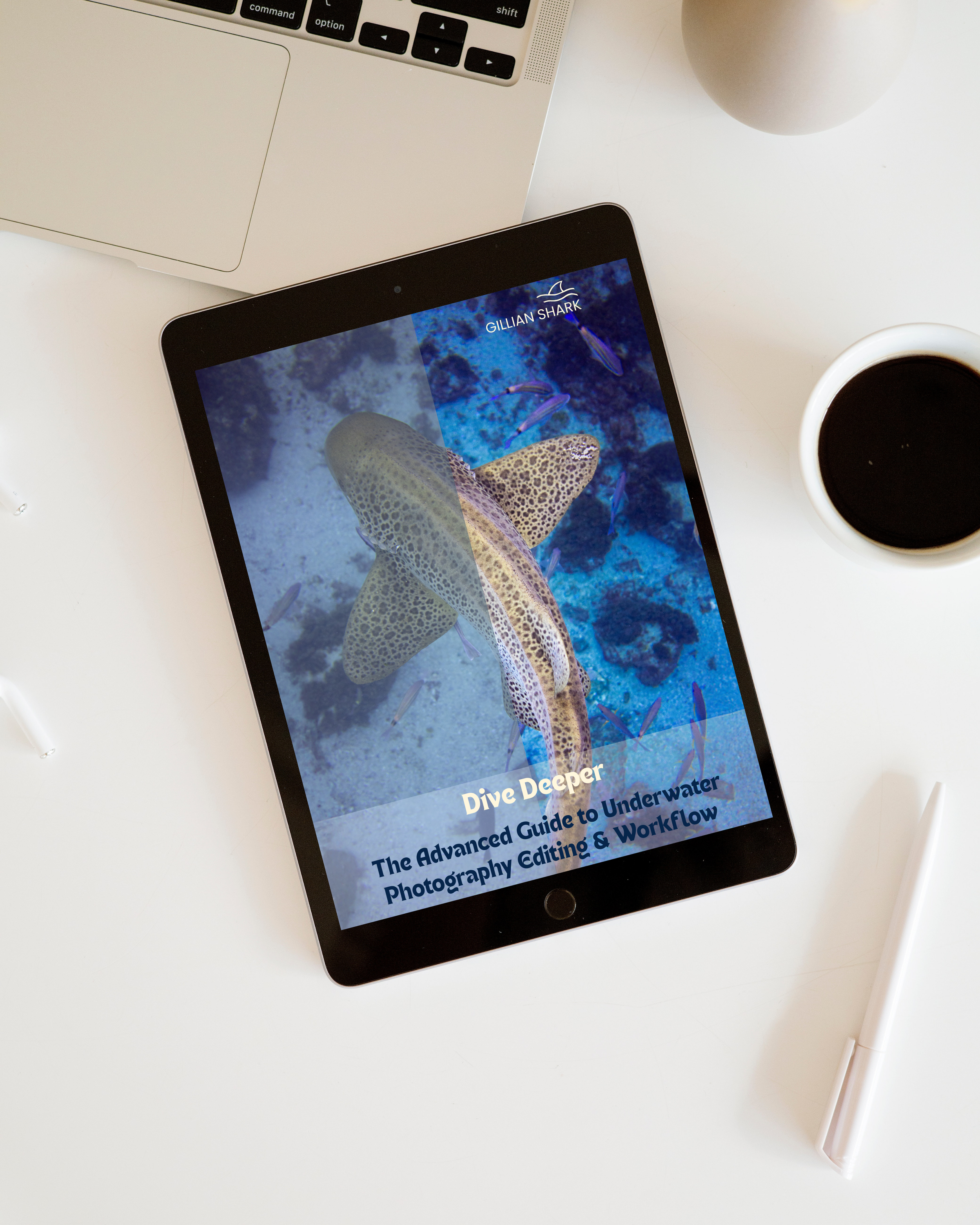 Dive Deeper - The Advanced Guide to Underwater Photography Editing & Workflow