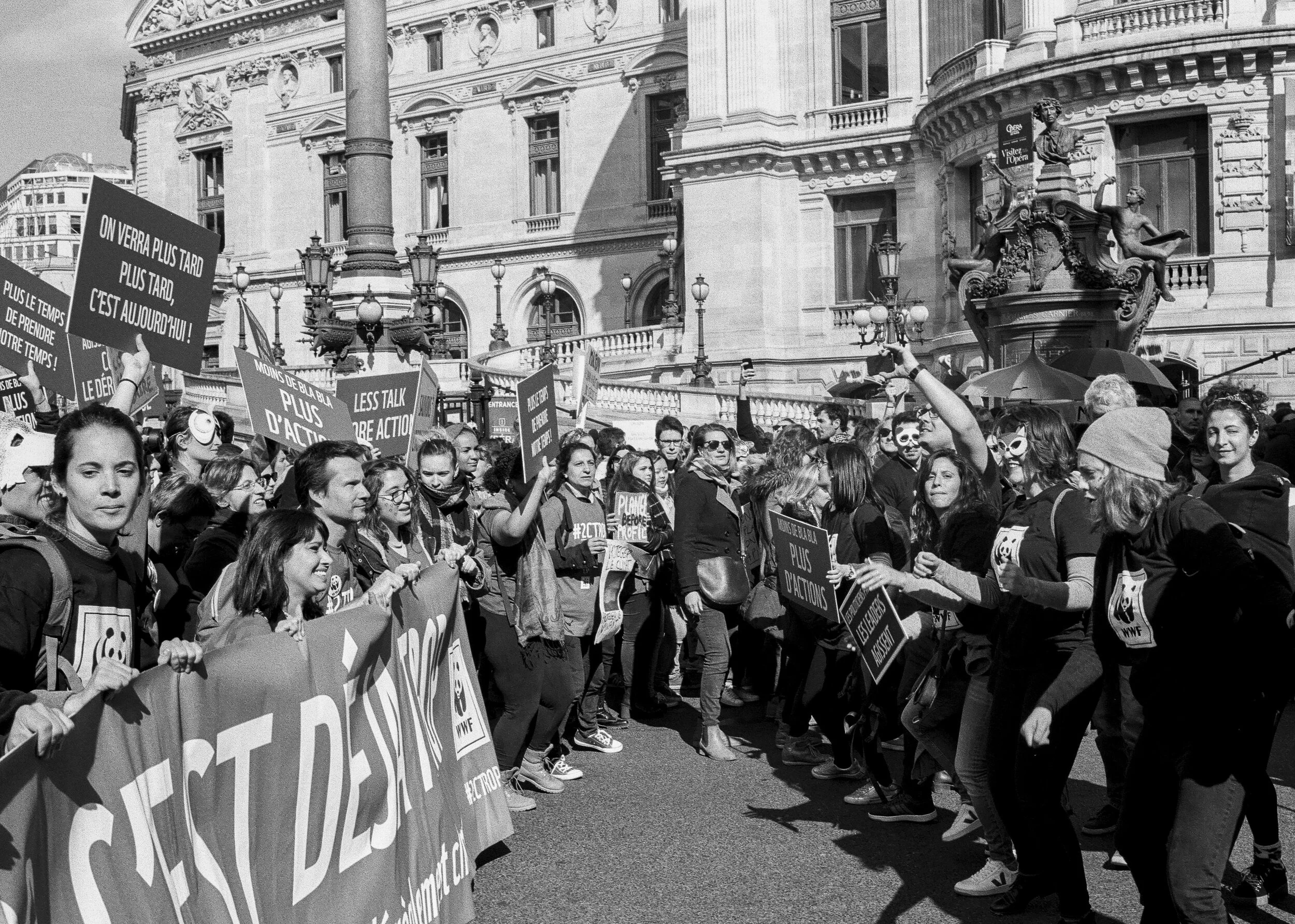 Rave 4 climate-6.jpg