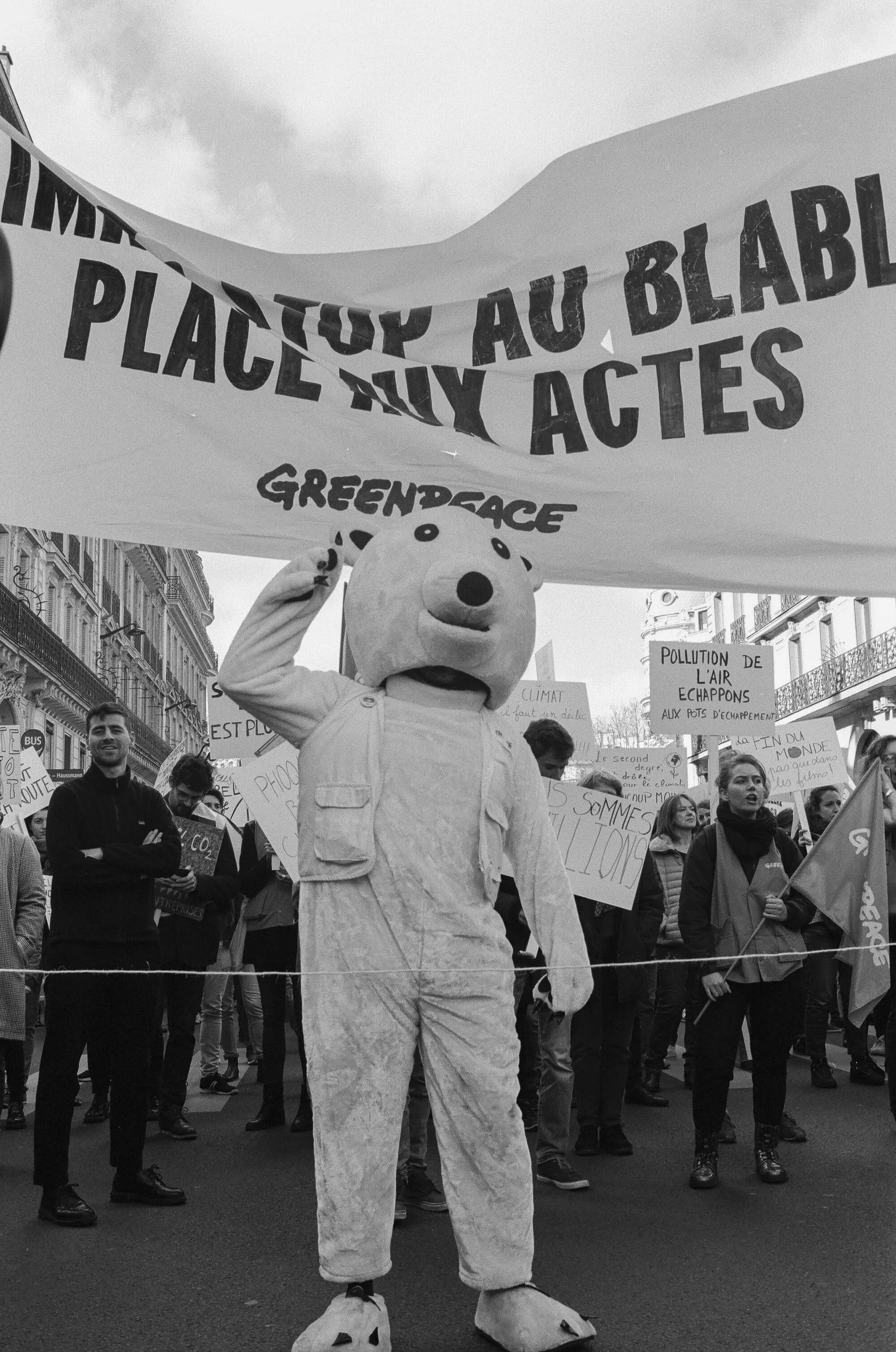 Rave 4 climate-8.jpg