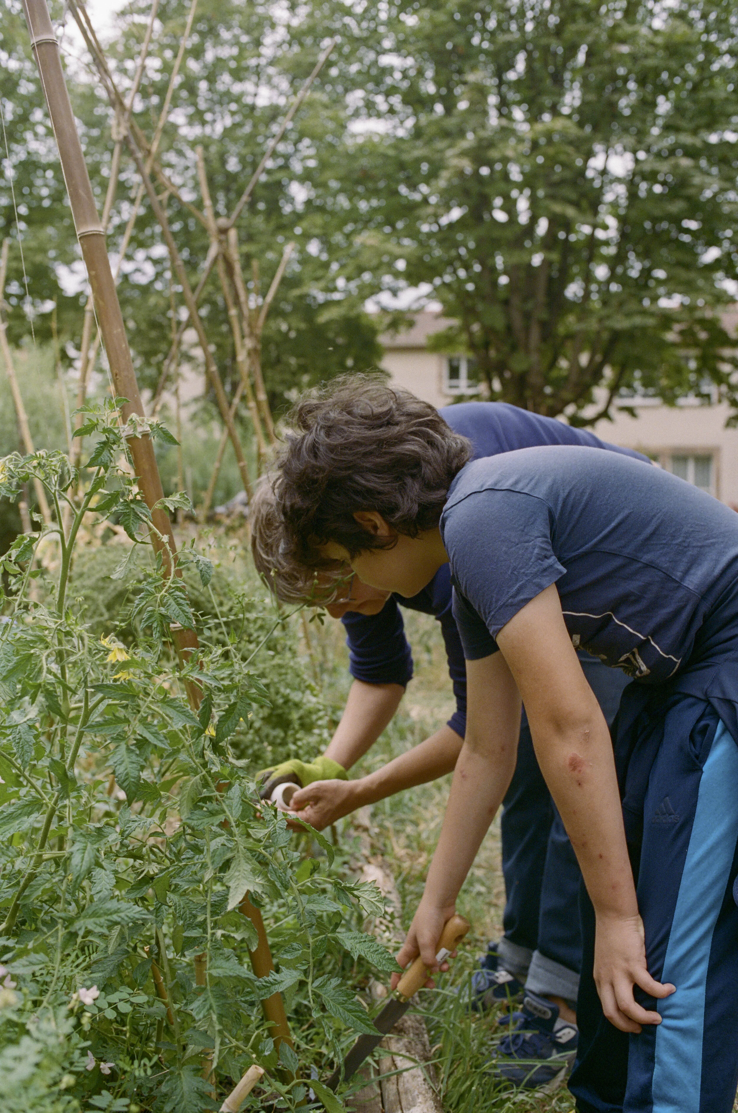 LA RUCHE ORIDA KREMLIN SITE-22.jpg