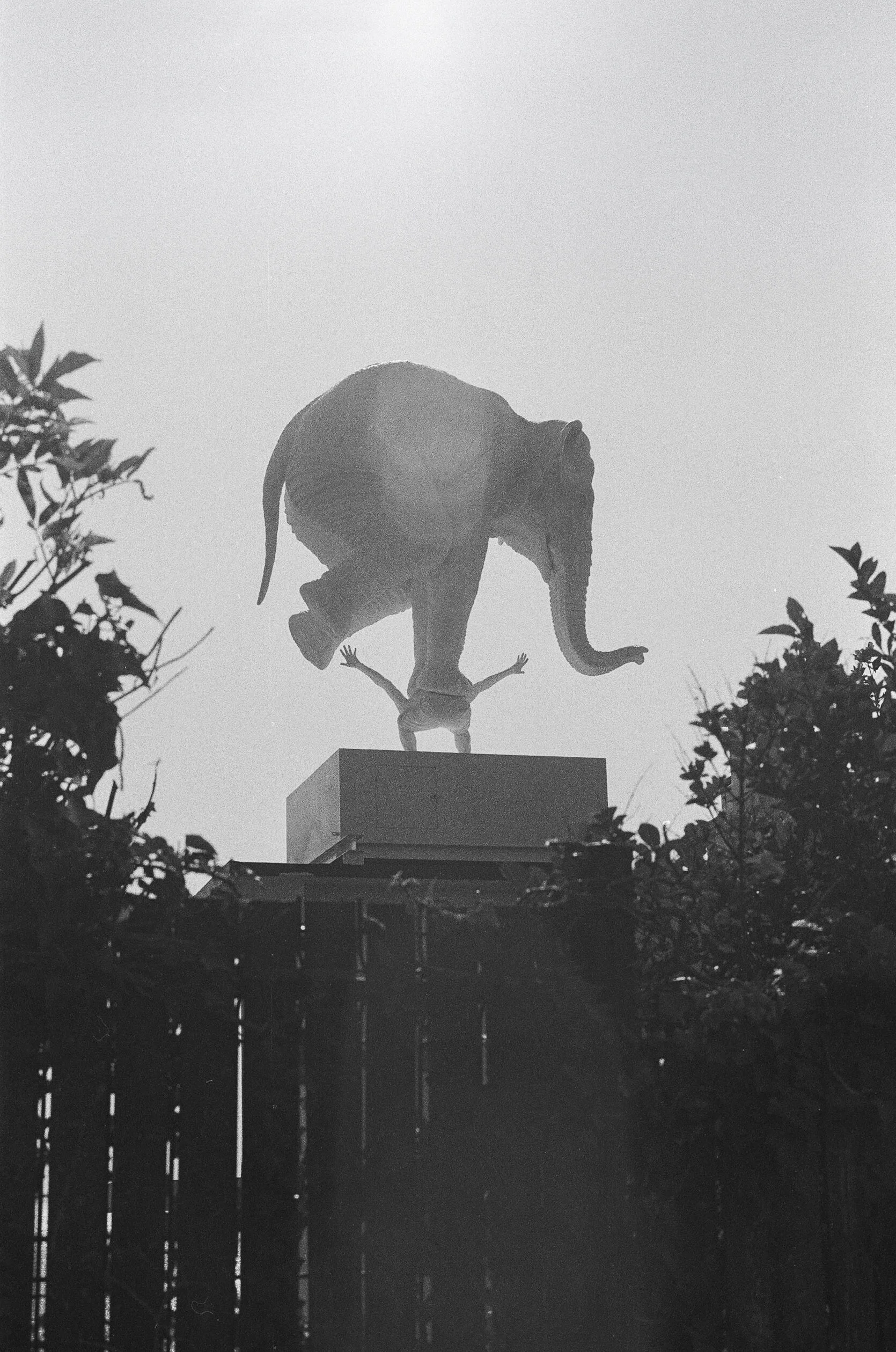 LE HAVRE NB VF-18.jpg