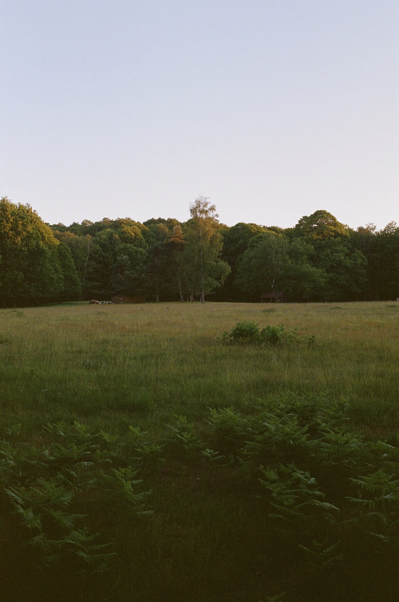 Biches @ Fontainebleau 26.jpg