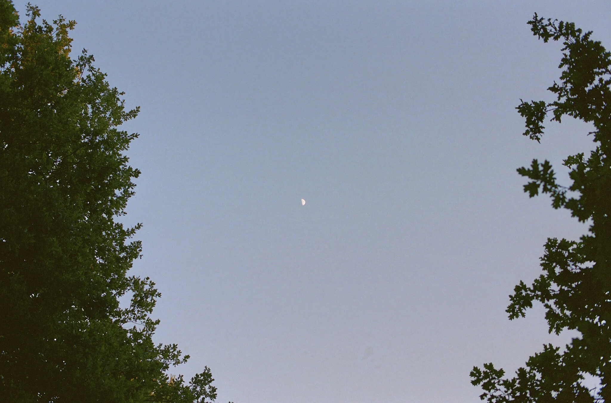 Biches @ Fontainebleau 27.jpg