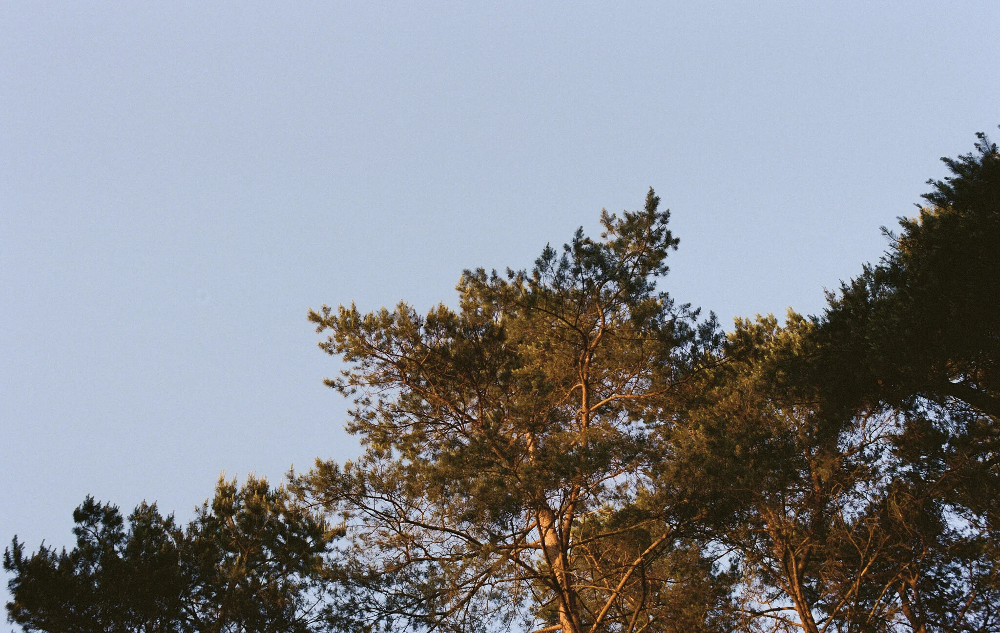 Biches @ Fontainebleau 22.jpg