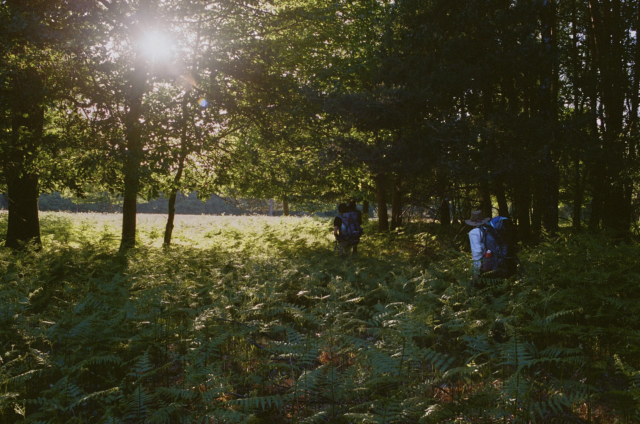 Biches @ Fontainebleau 19.jpg