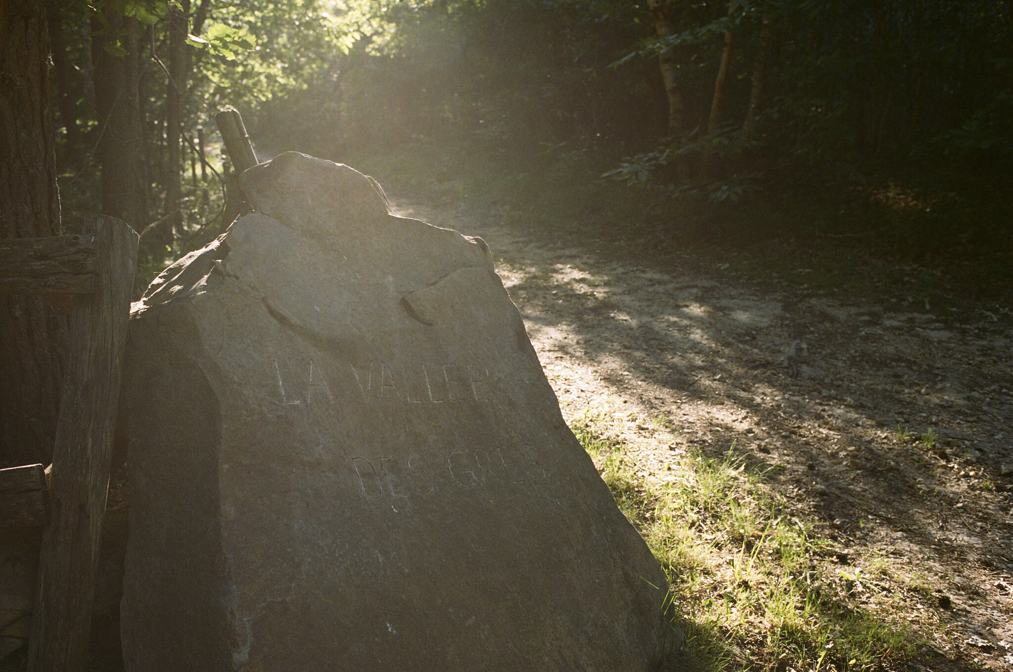 Biches @ Fontainebleau 12.jpg