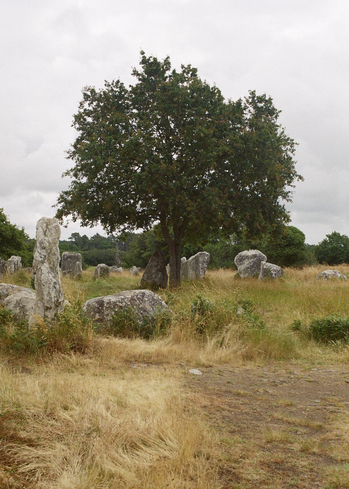 BZH Summer 2020 60.jpg