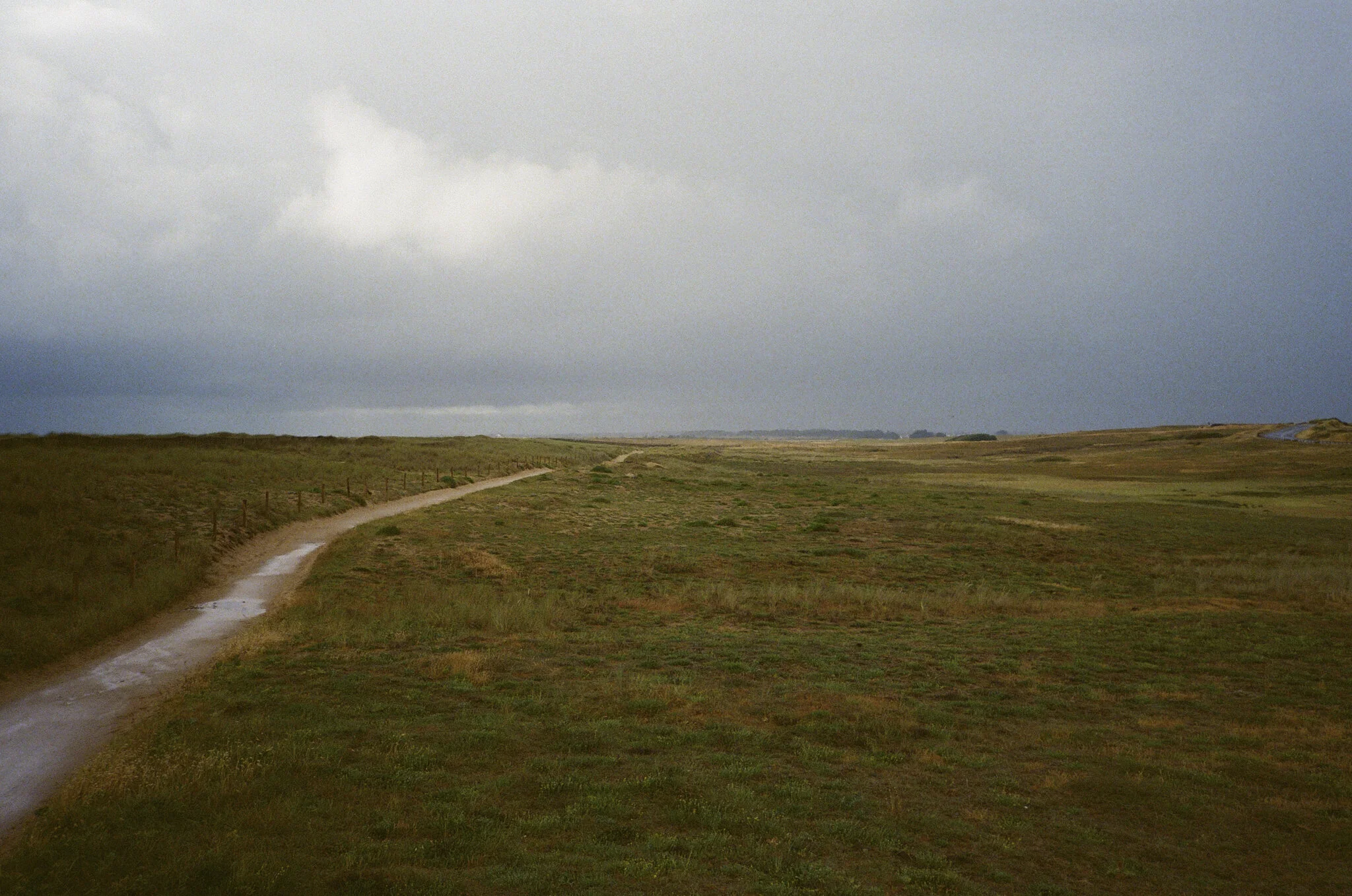 BZH Summer 2020 39.jpg