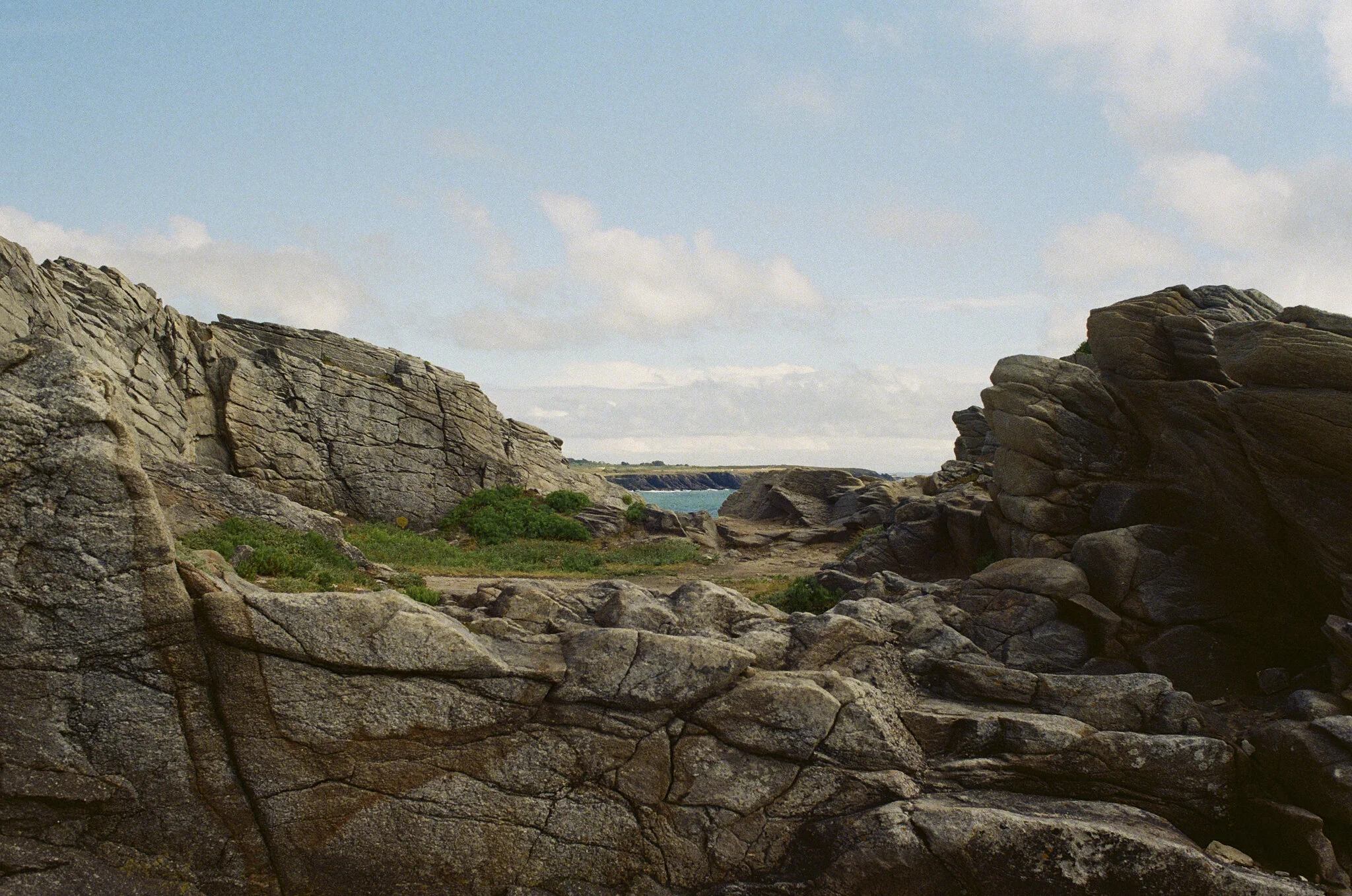 BZH Summer 2020 15.jpg