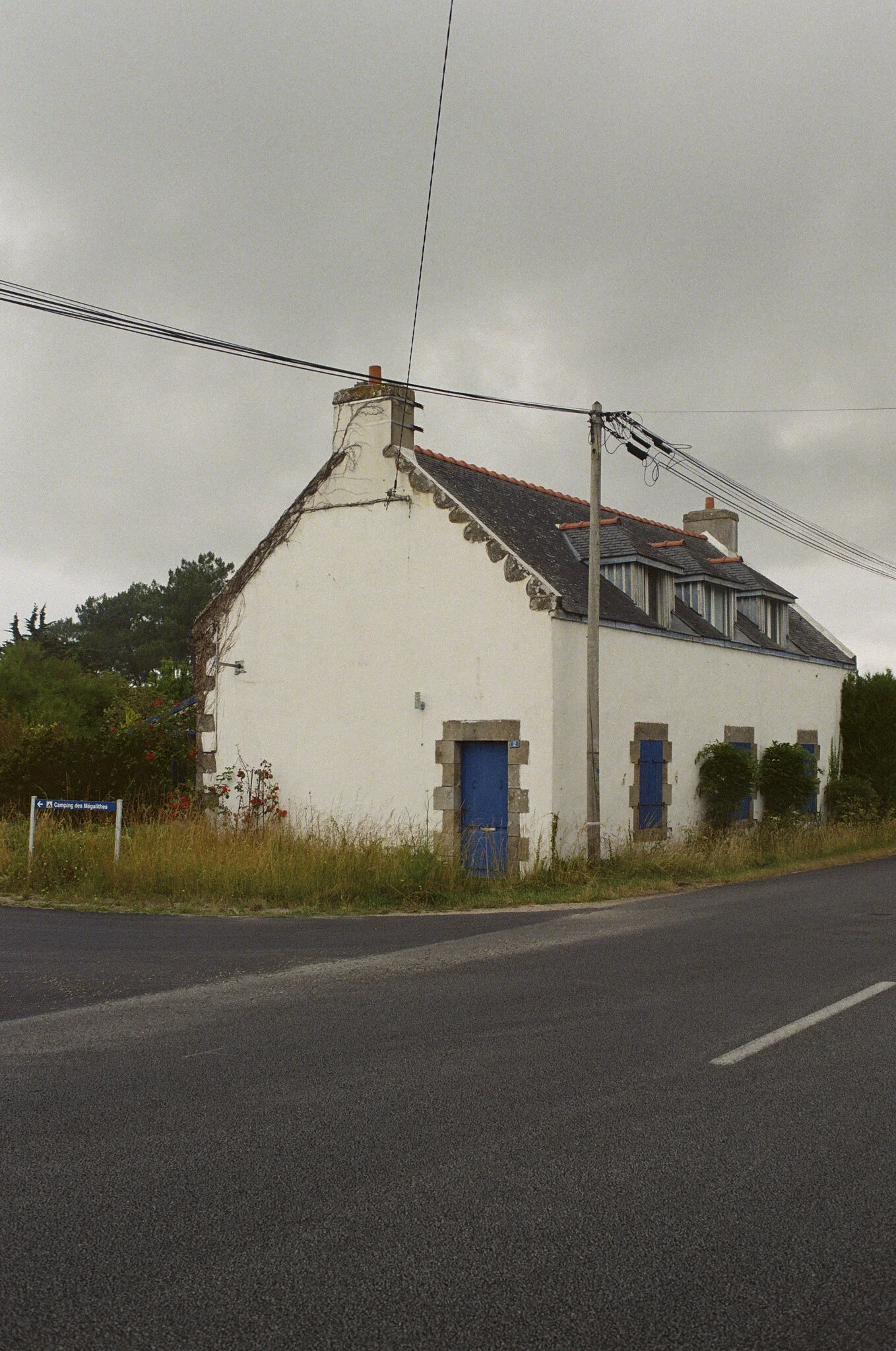 BZH Summer 2020 5.jpg