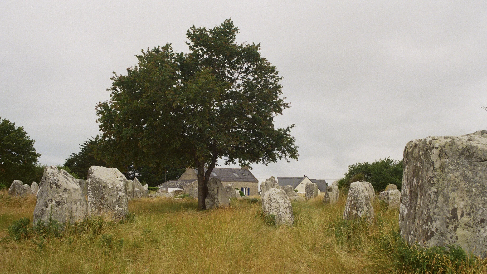 BZH Summer 2020 3.jpg