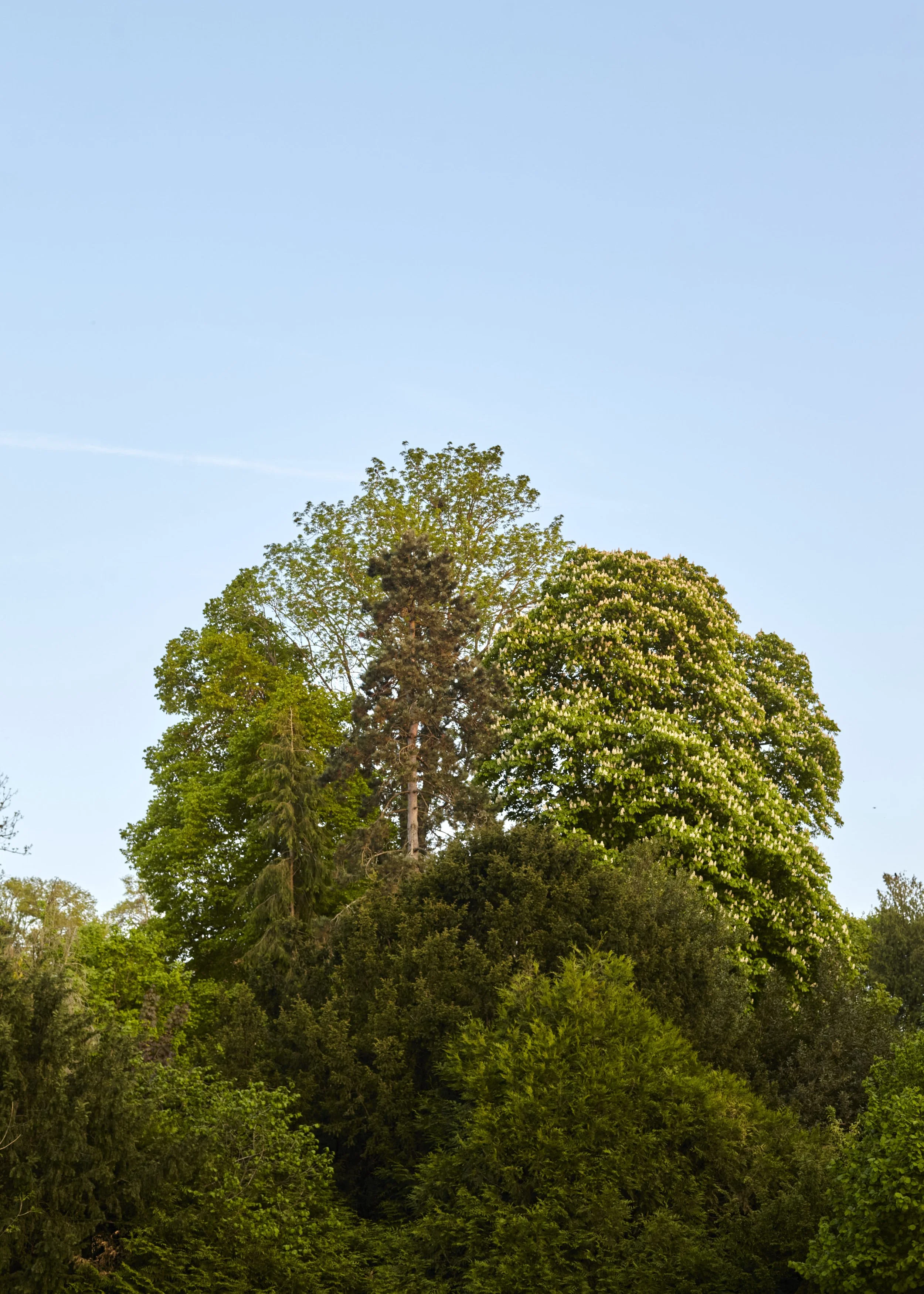 Relais 2022_Site Web_06.jpg