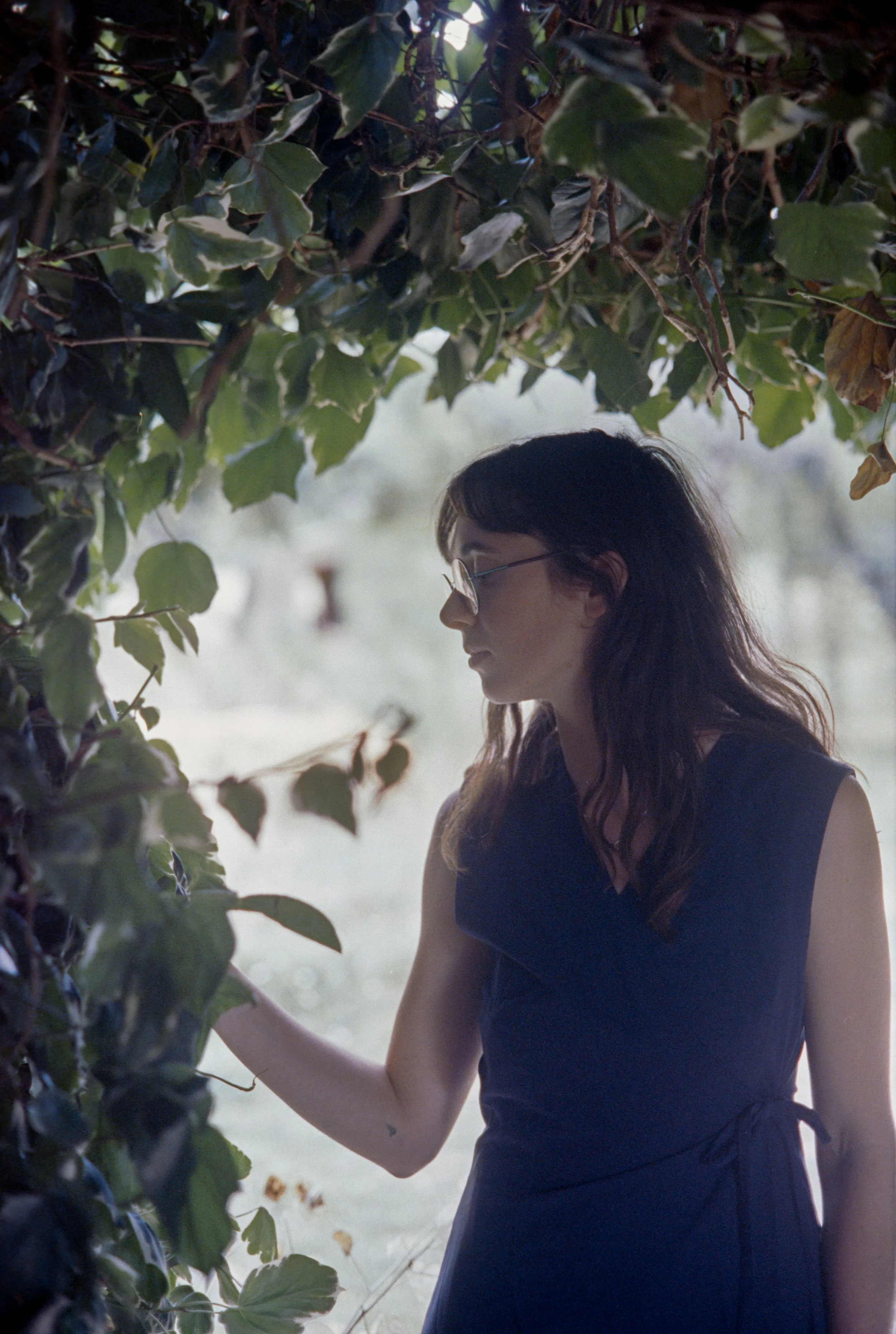 Pollene Site-032.jpg