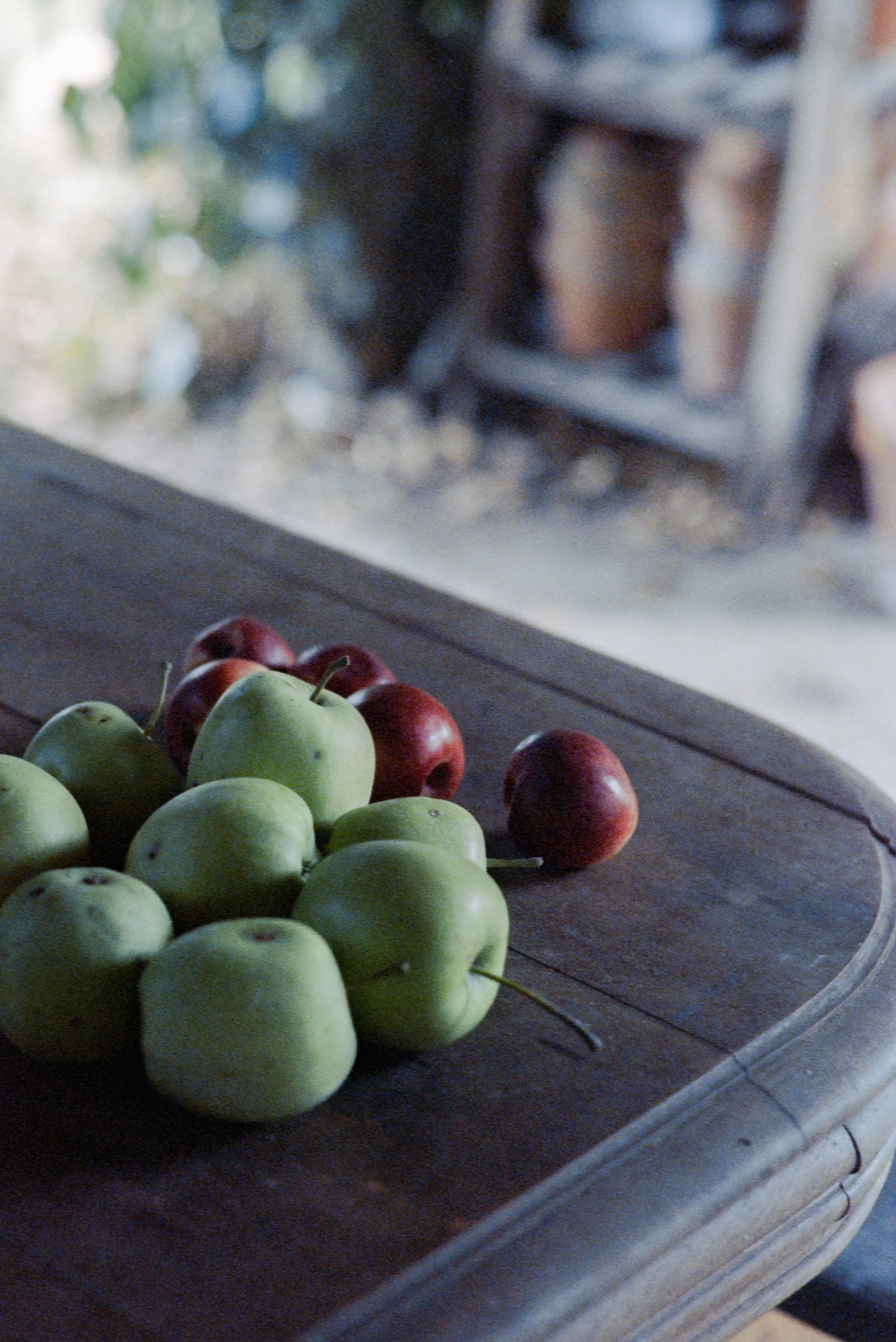 Pollene Site-034.jpg