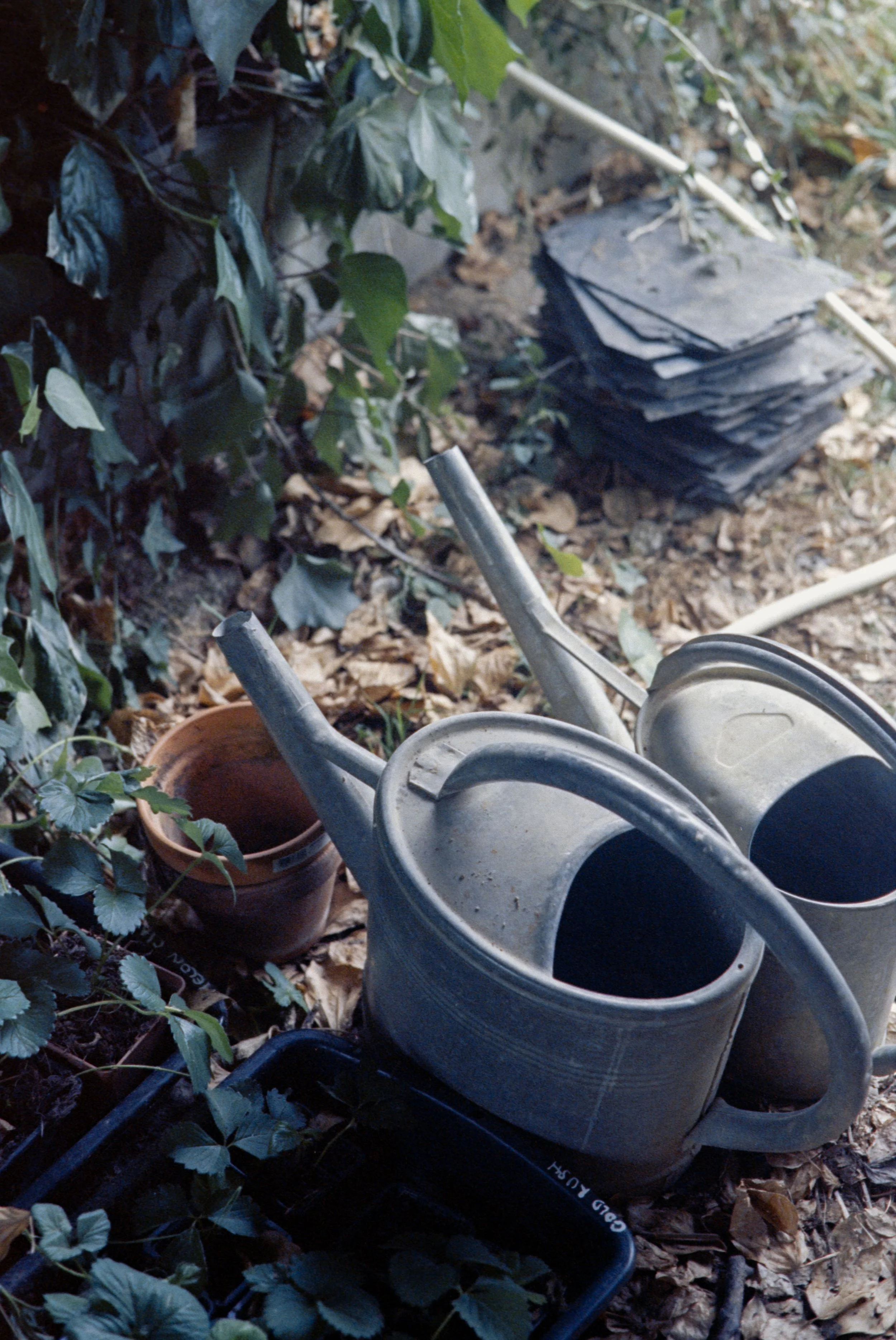 Pollene Site-035.jpg