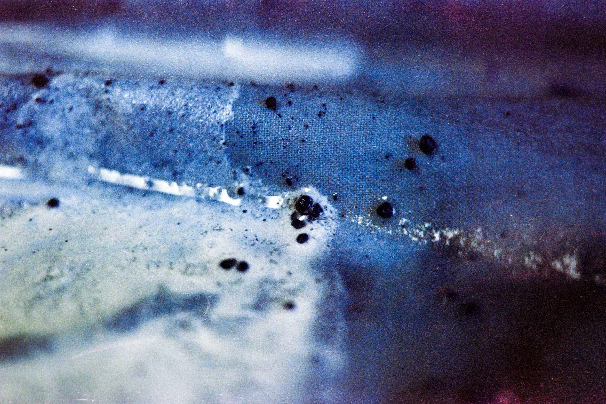 Ana PORTRAIT Site-031.jpg