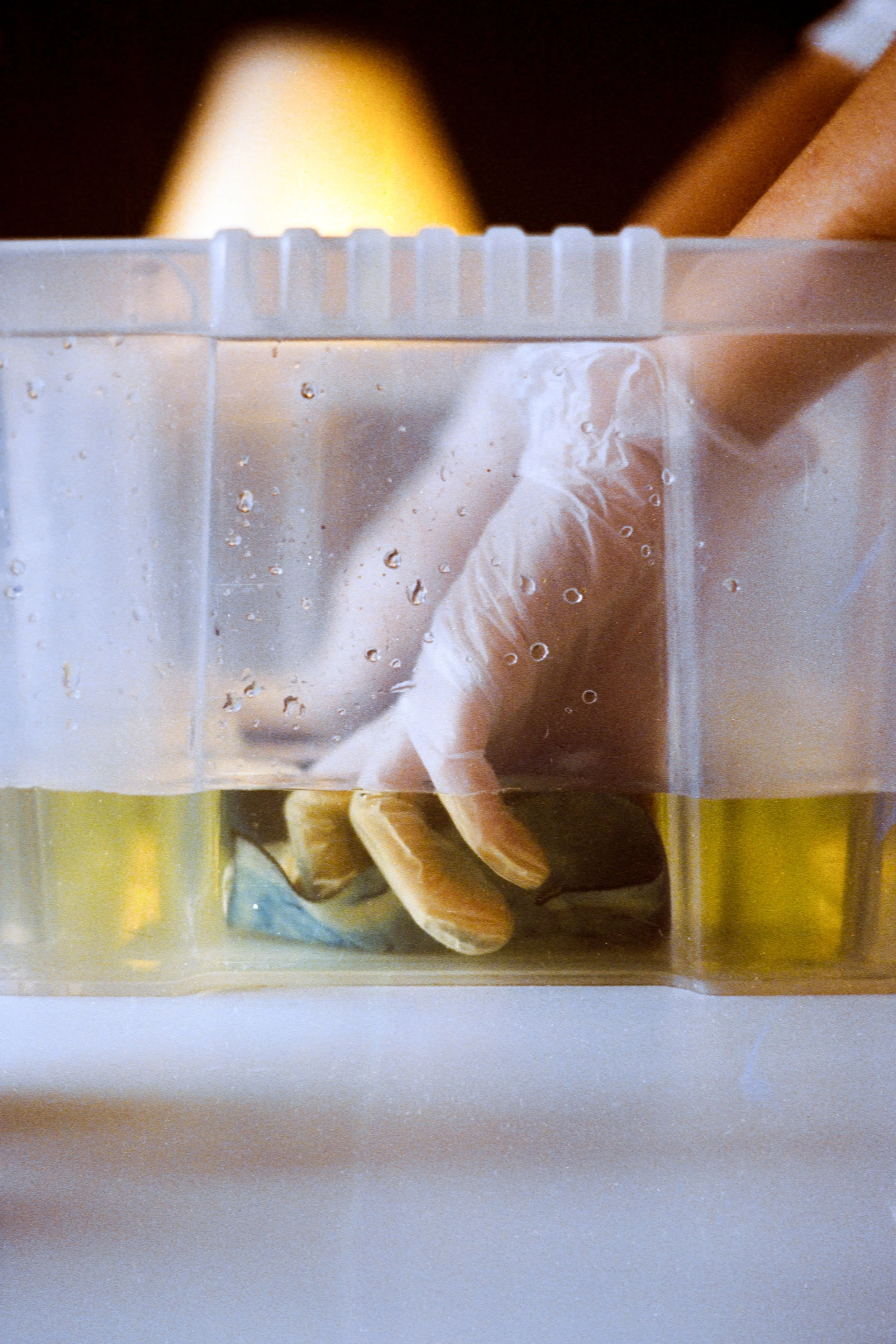 Ana PORTRAIT Site-047.jpg