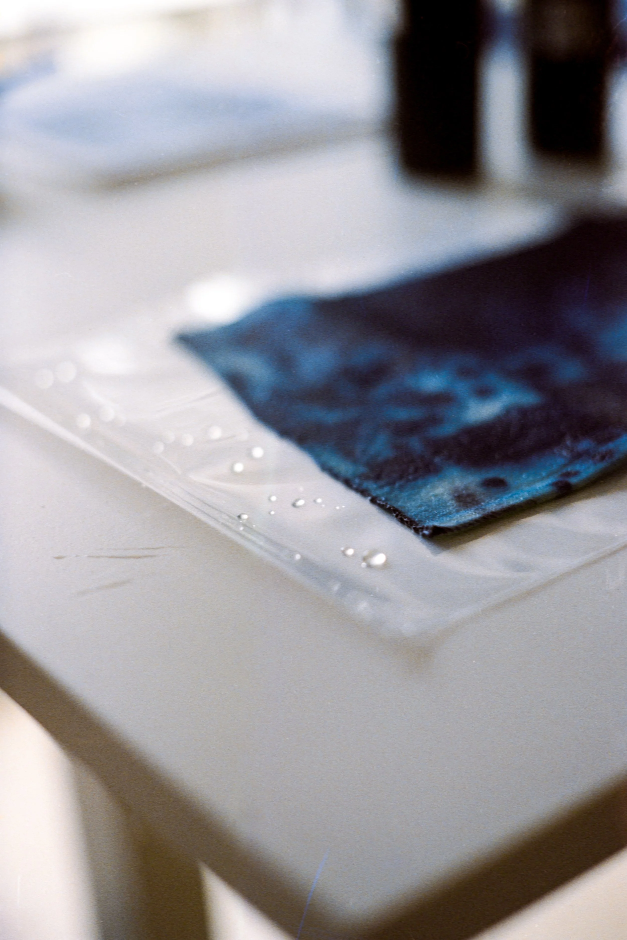 Ana PORTRAIT Site-053.jpg