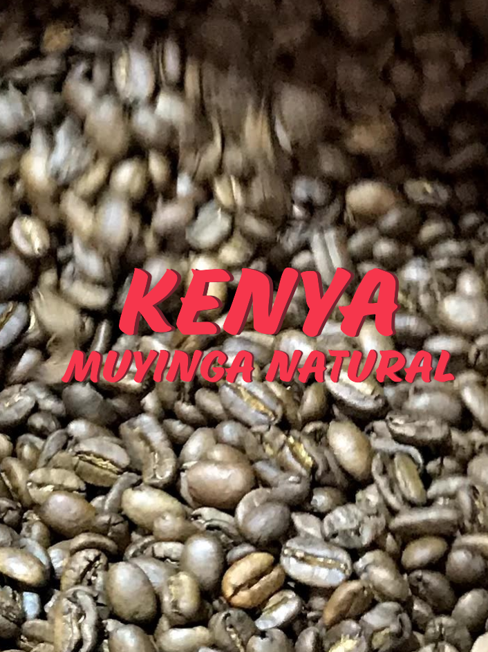 Kenyan Muyinga beans.PNG