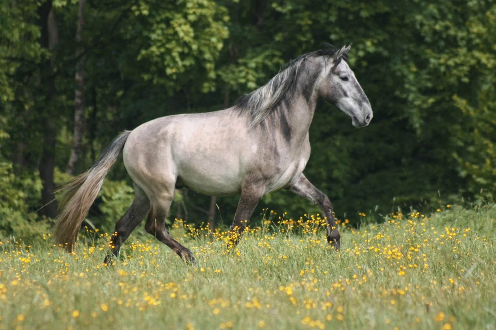 Foto: Julia Hollender