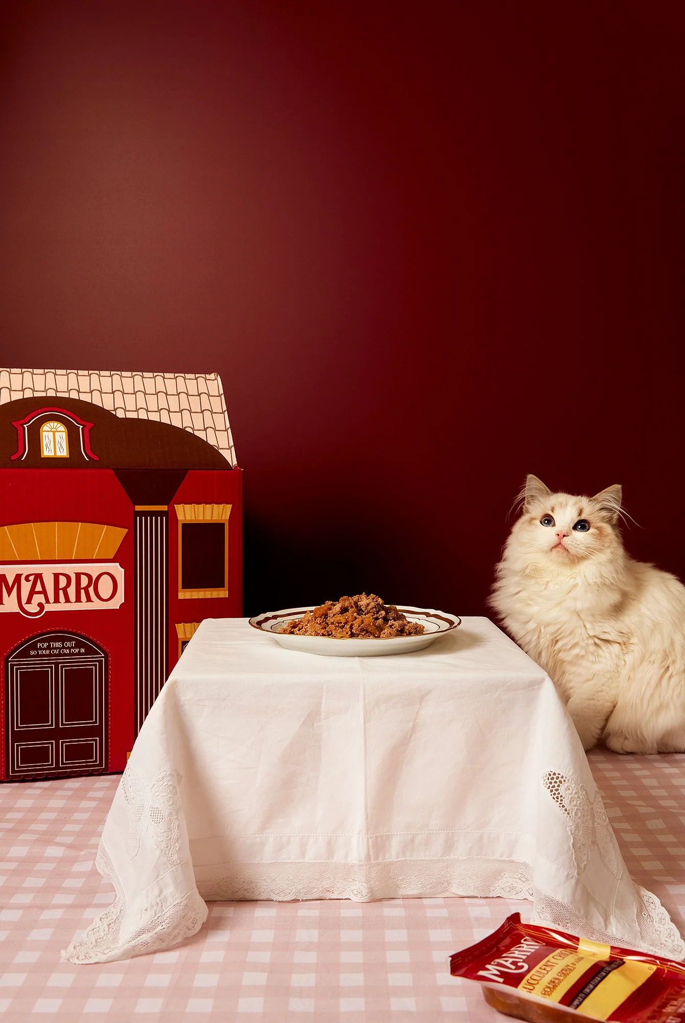 241210_MARRO_CAT_FORK_0143 (3).jpg