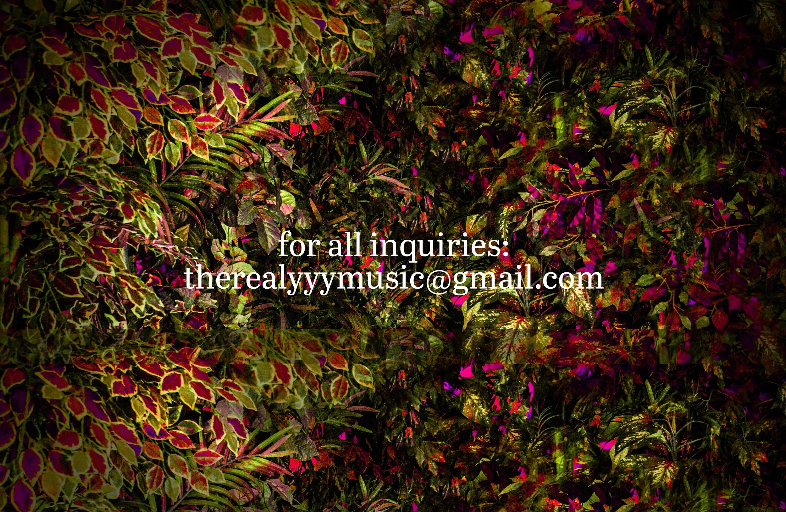 text*IMG_0d1192.jpg