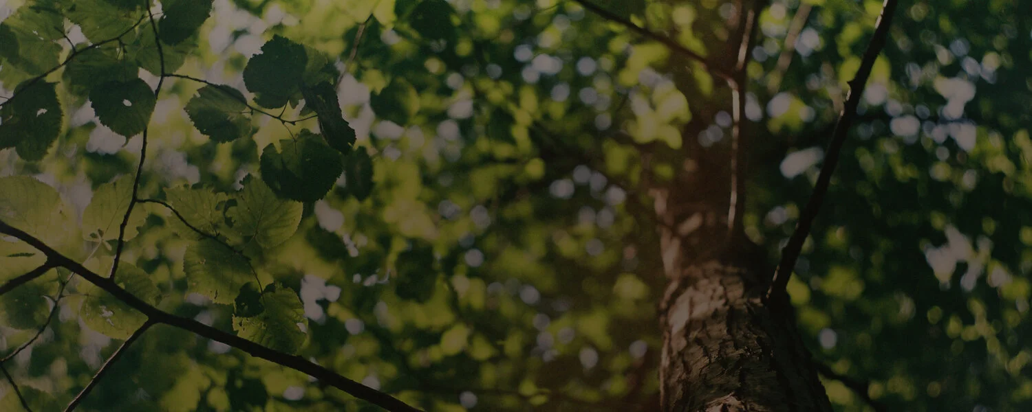 WhoWeAre-header.jpg