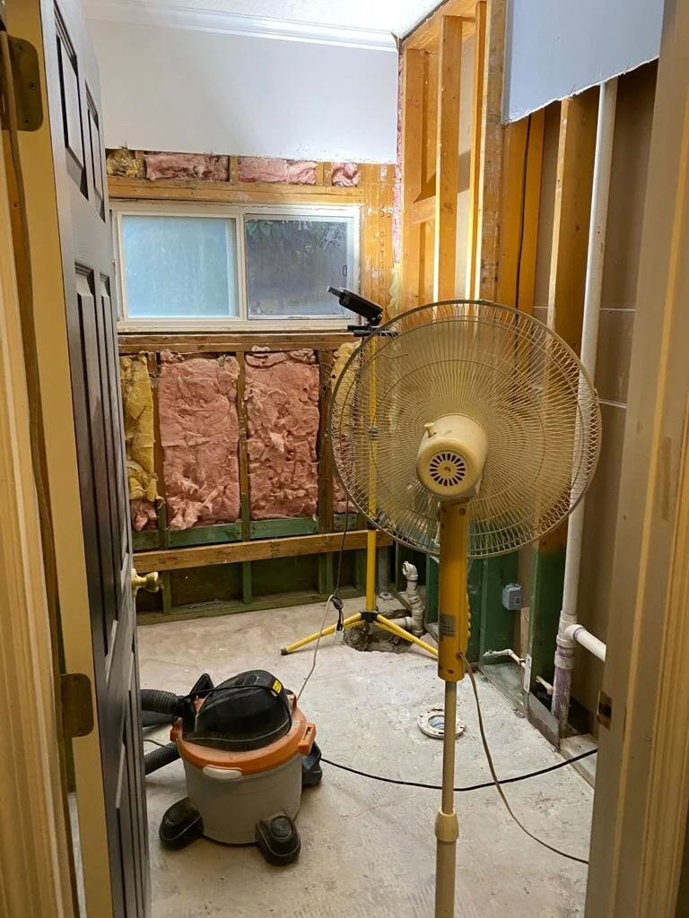 Bathroom Restoration WIP
