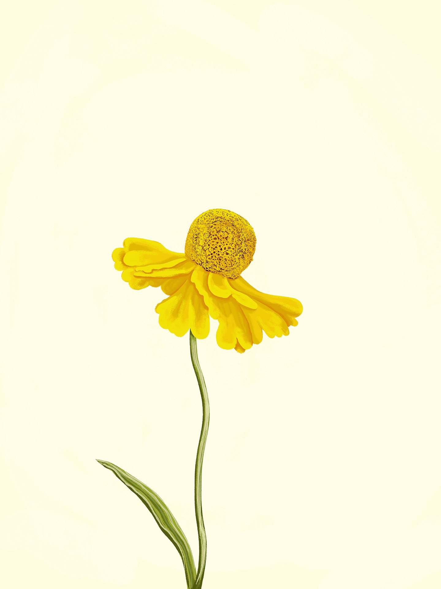 yellow-flower-web.jpg