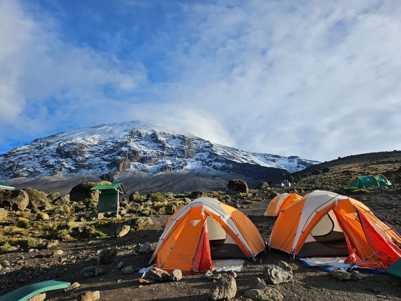 WhatsApp Image 2023-11-12 at 10.05.04 AM.jpeg