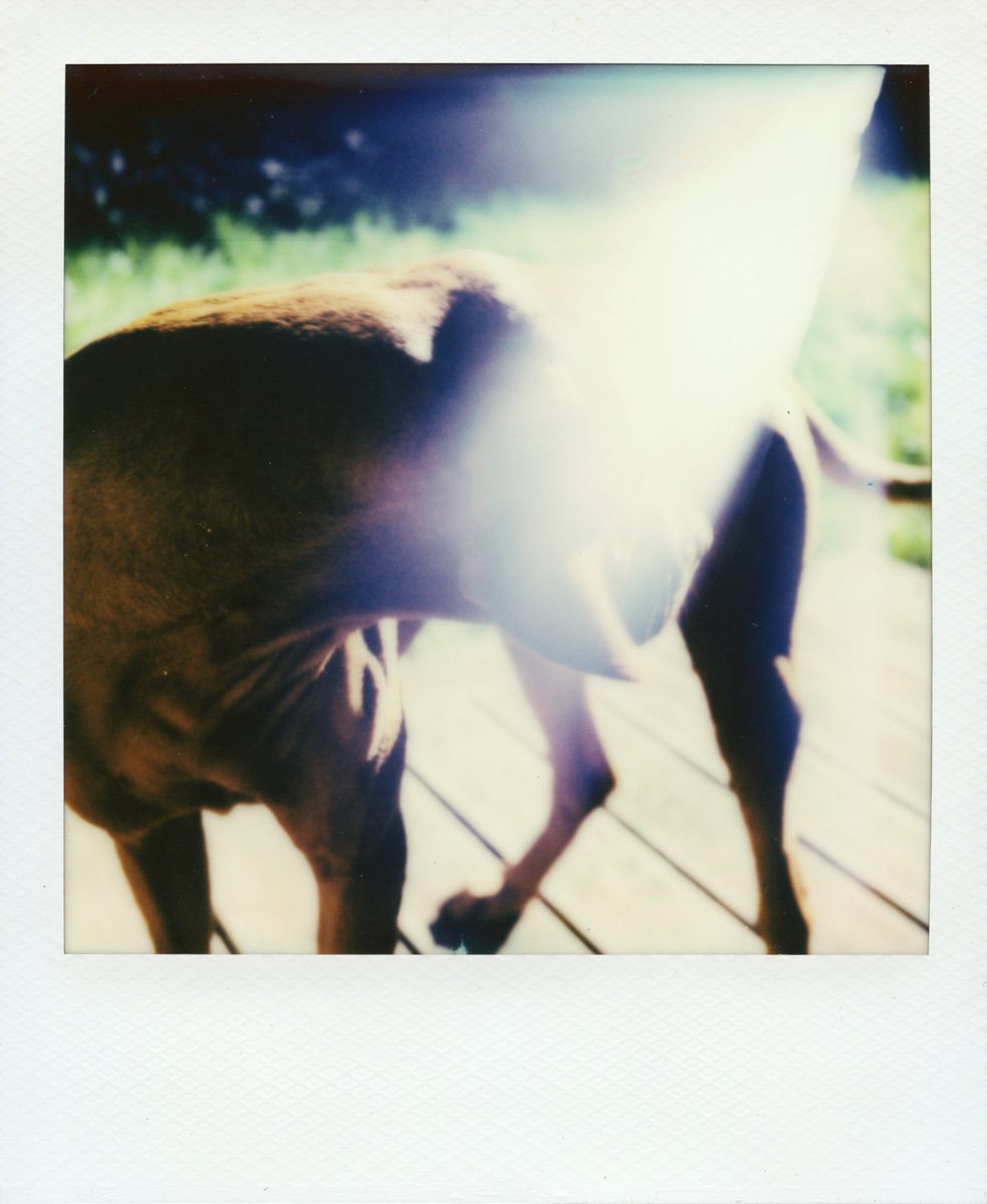 so-it-goes-polaroids-tomasz-kudaszewicz-31.jpg