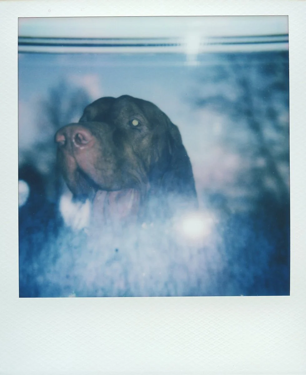 so-it-goes-polaroids-tomasz-kudaszewicz-49.jpg