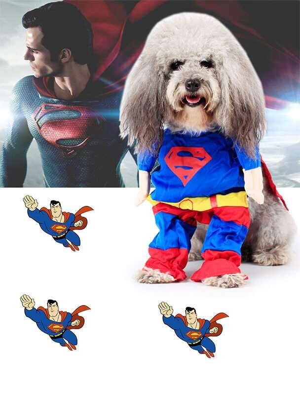 Dog-Superman-Super-Hero-Costumes-Pet-Halloween-Costumes-Supplier-2.jpg