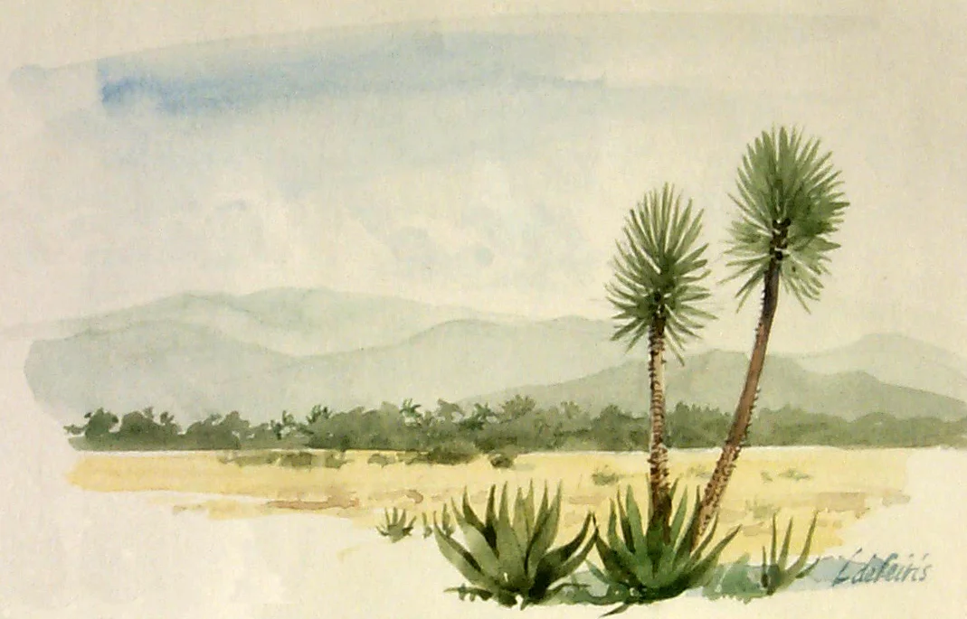    Cumana   Watercolor  Image Size: 3 1/2" x 5 1/2"  