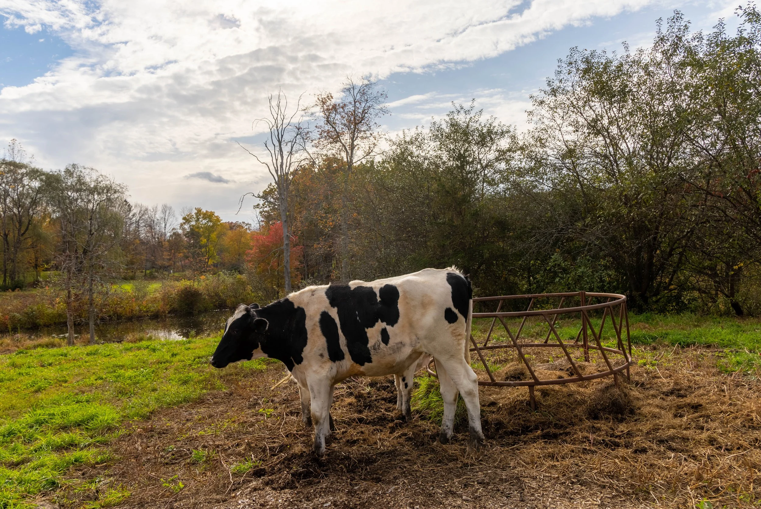 IMG_2470-HDR.jpg