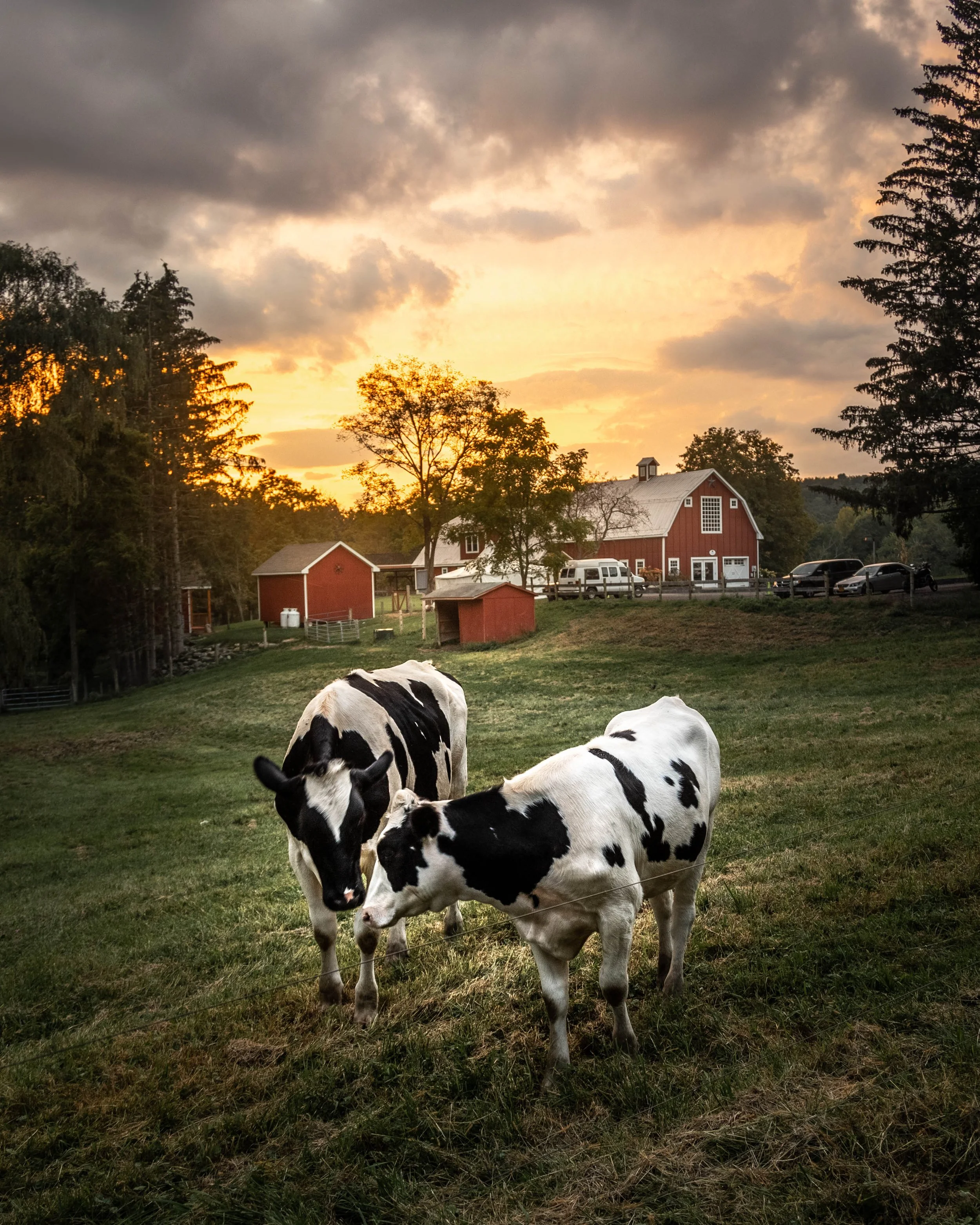 IMG_1455-HDR.jpg